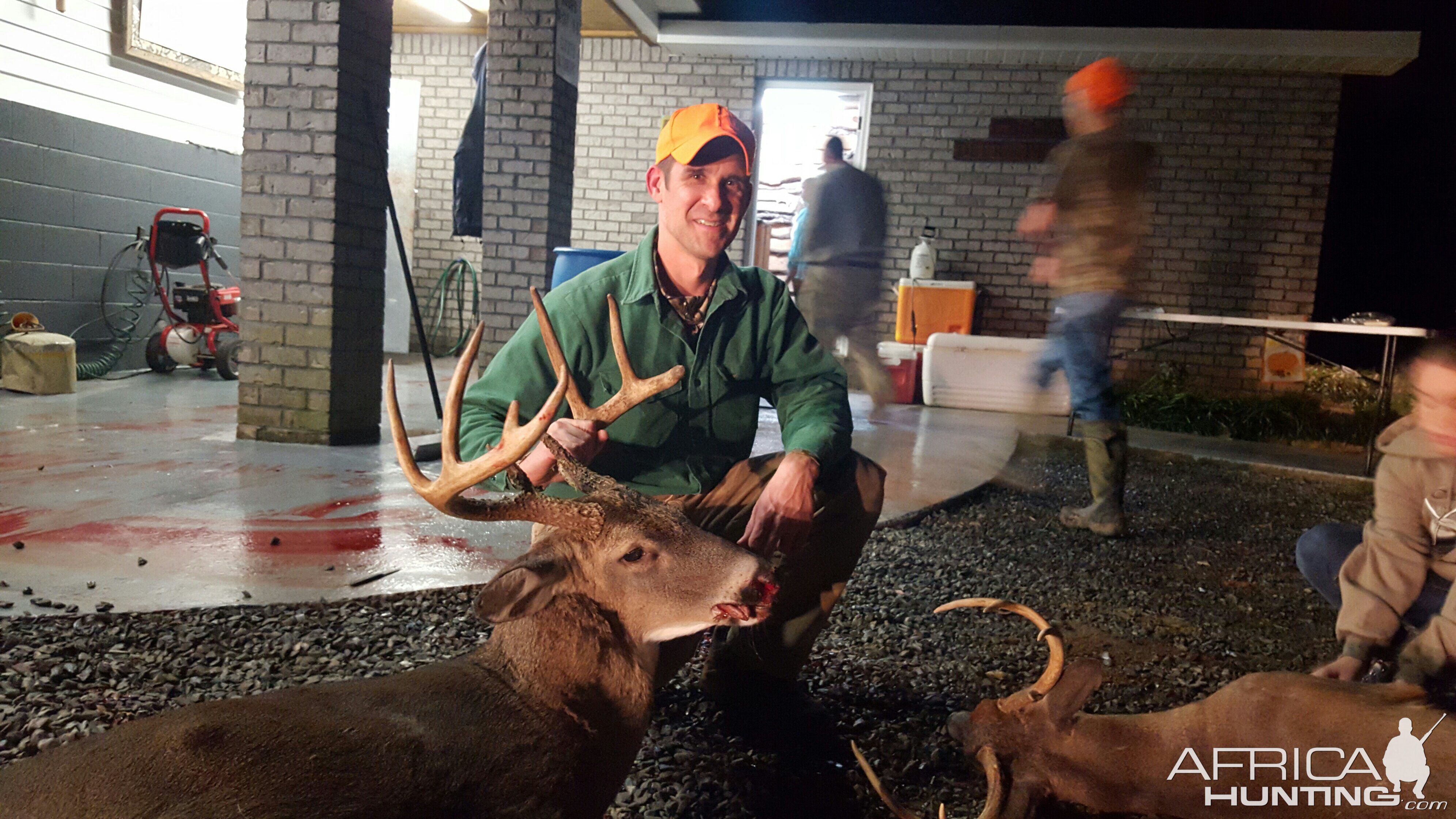 USA Hunting White-tailed Deer