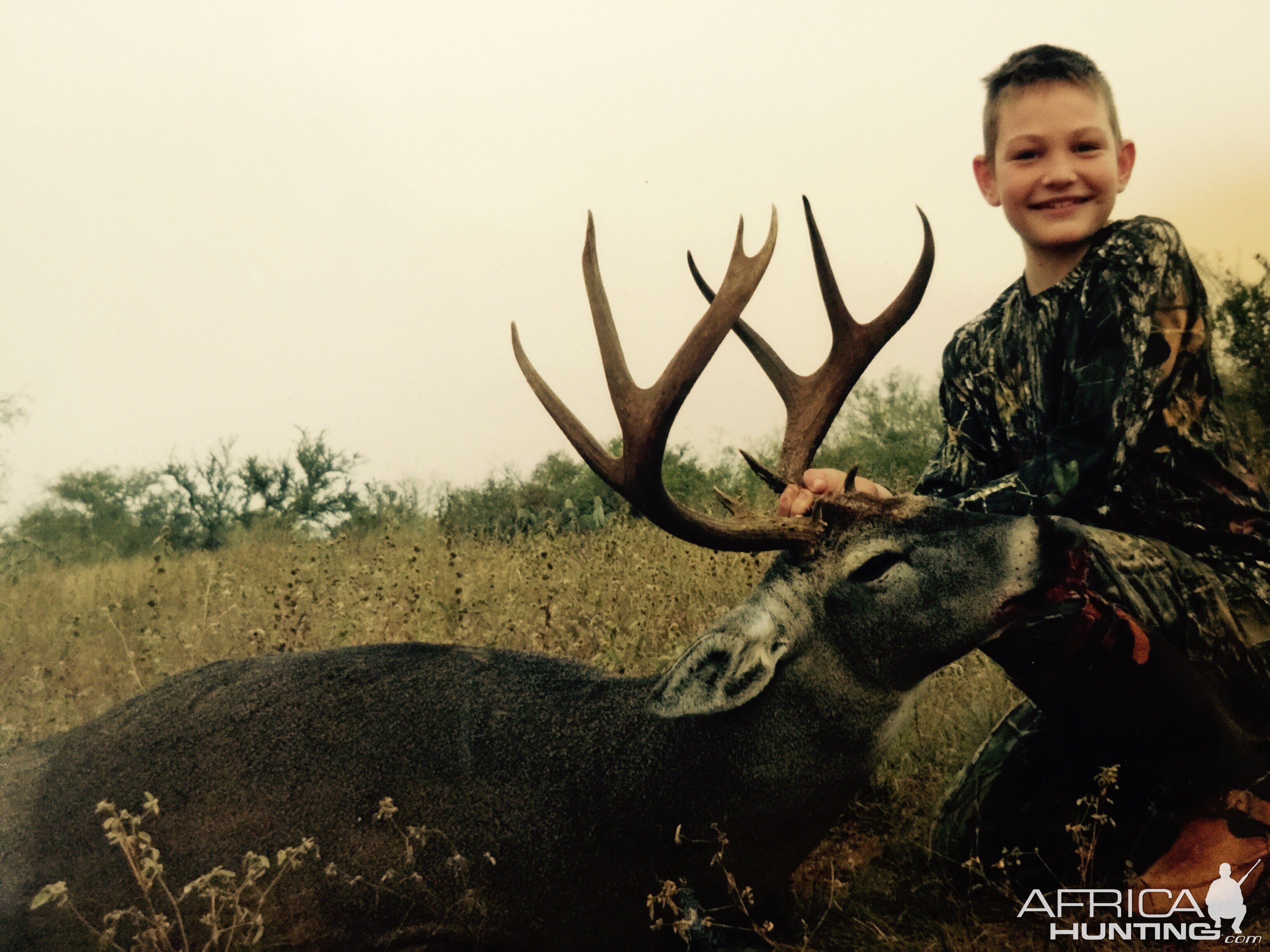 USA Hunting White-tailed Deer