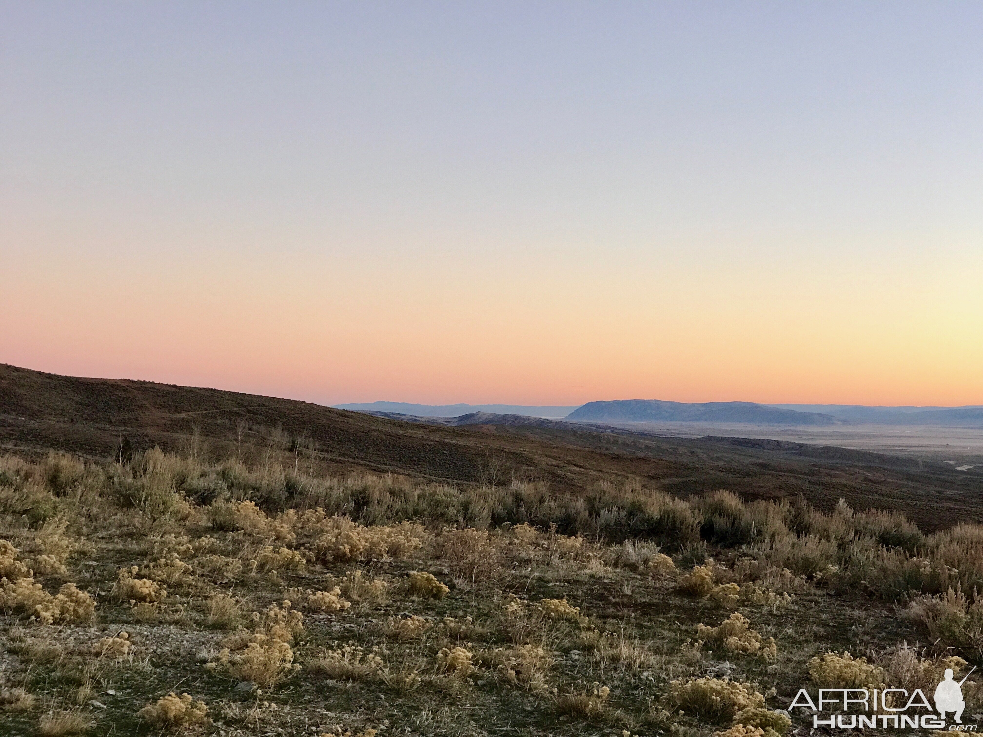 Utah Hunt