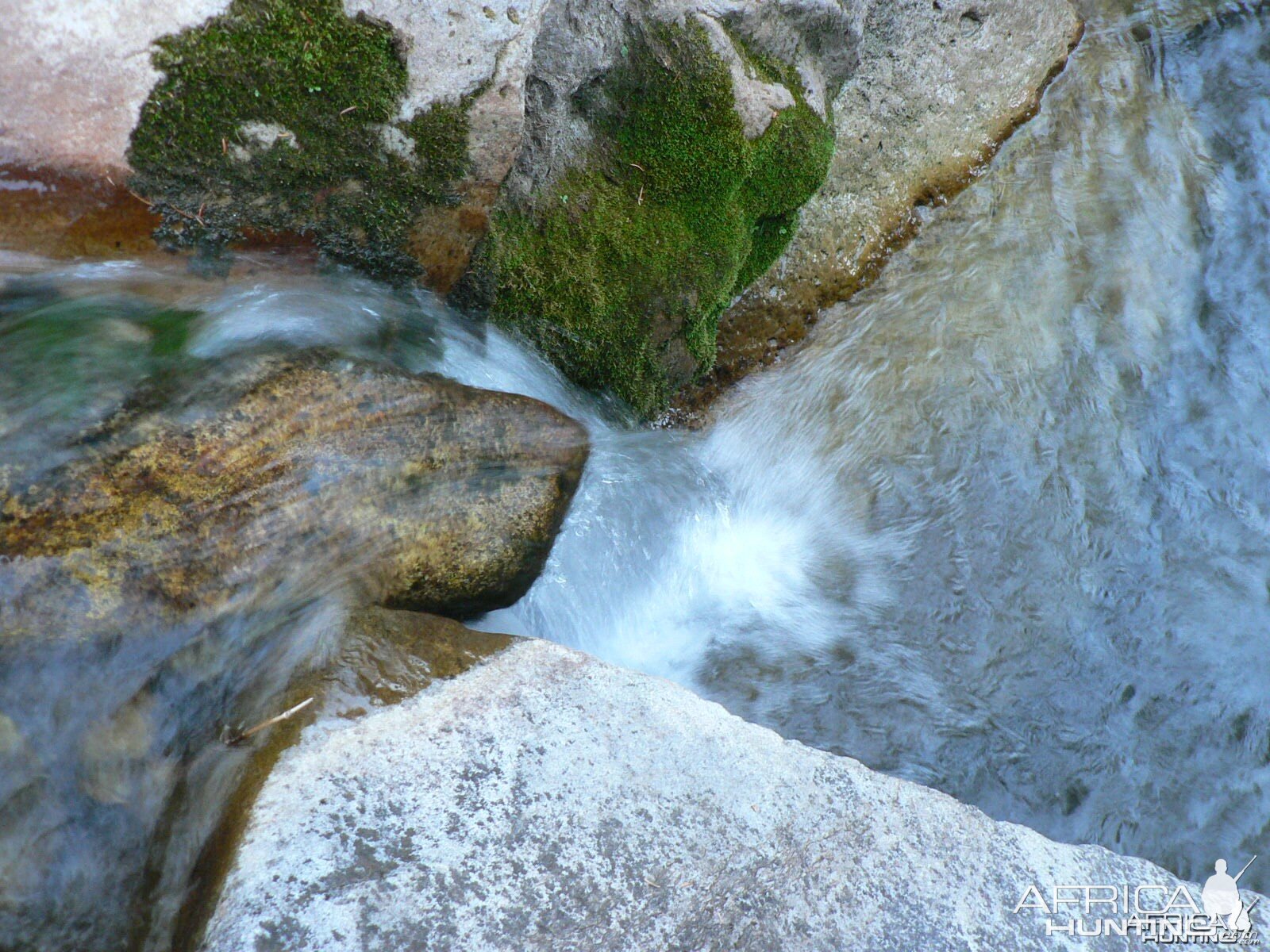 Utah stream