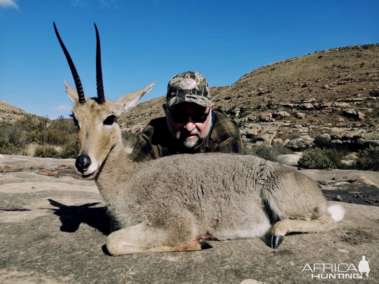 Vaal Rhebok Hunting Eastern Cape South Africa