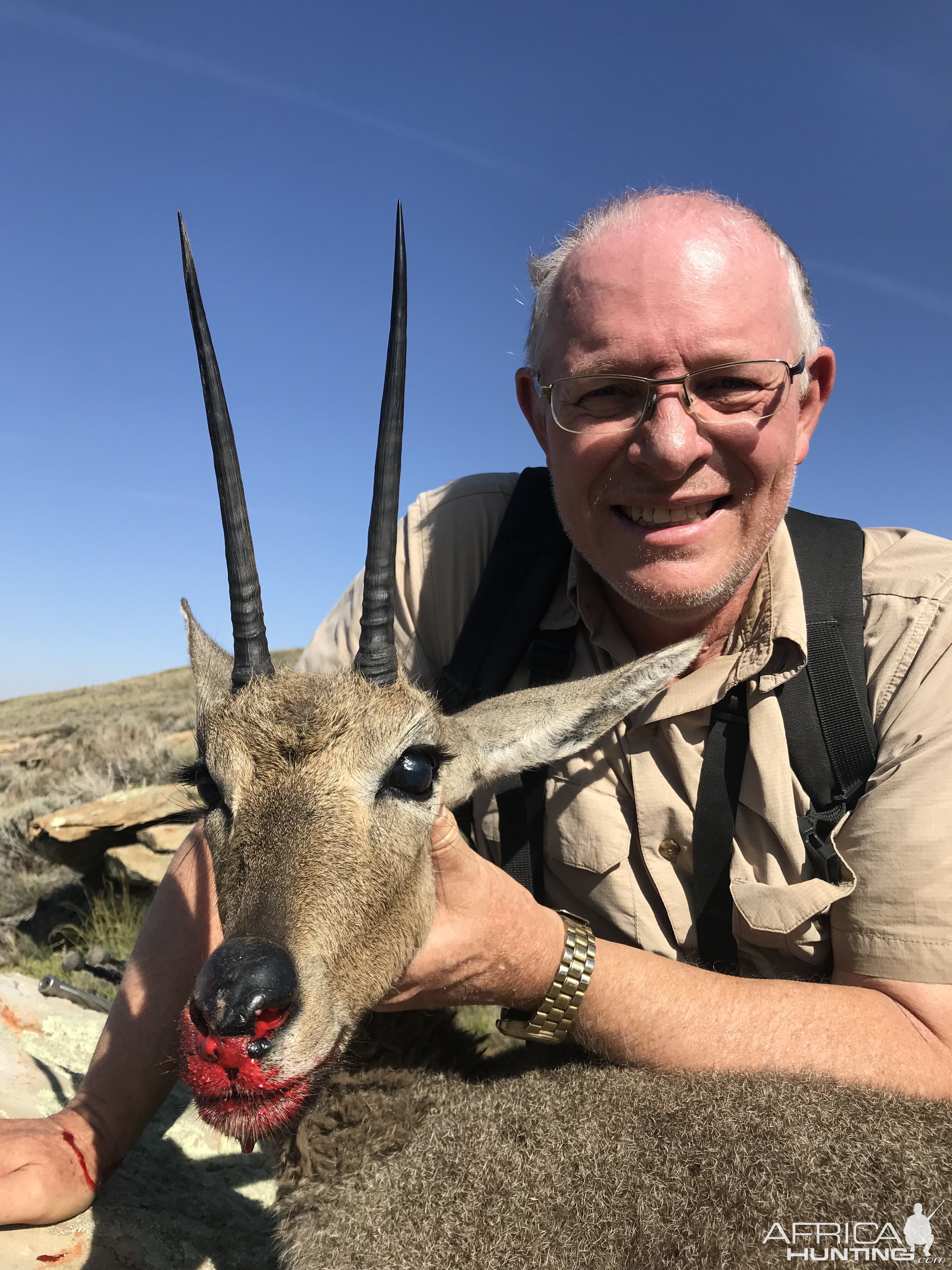 Vaal Rhebok Hunting South Africa