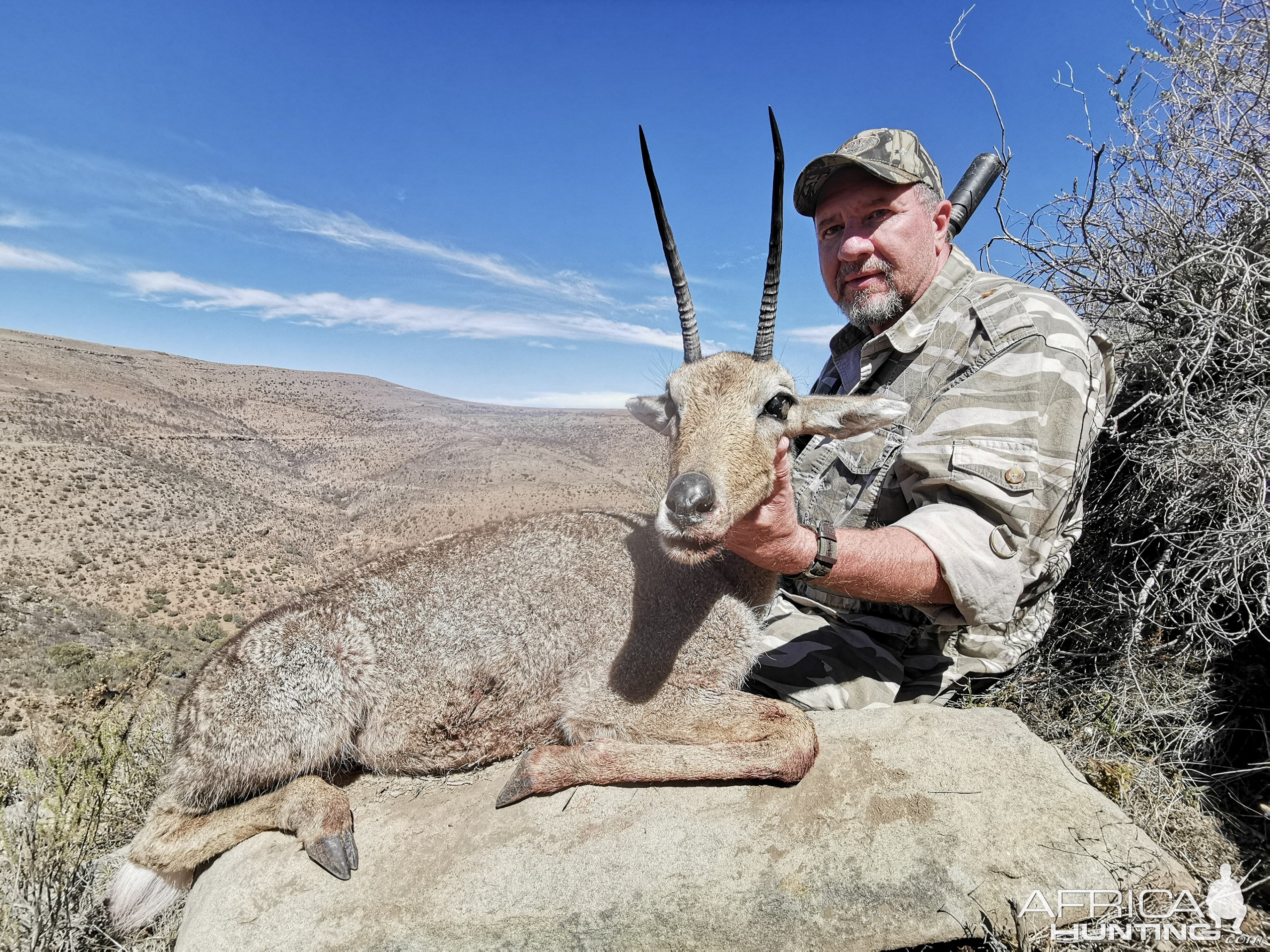 Vaal Rhebok Hunting South Africa