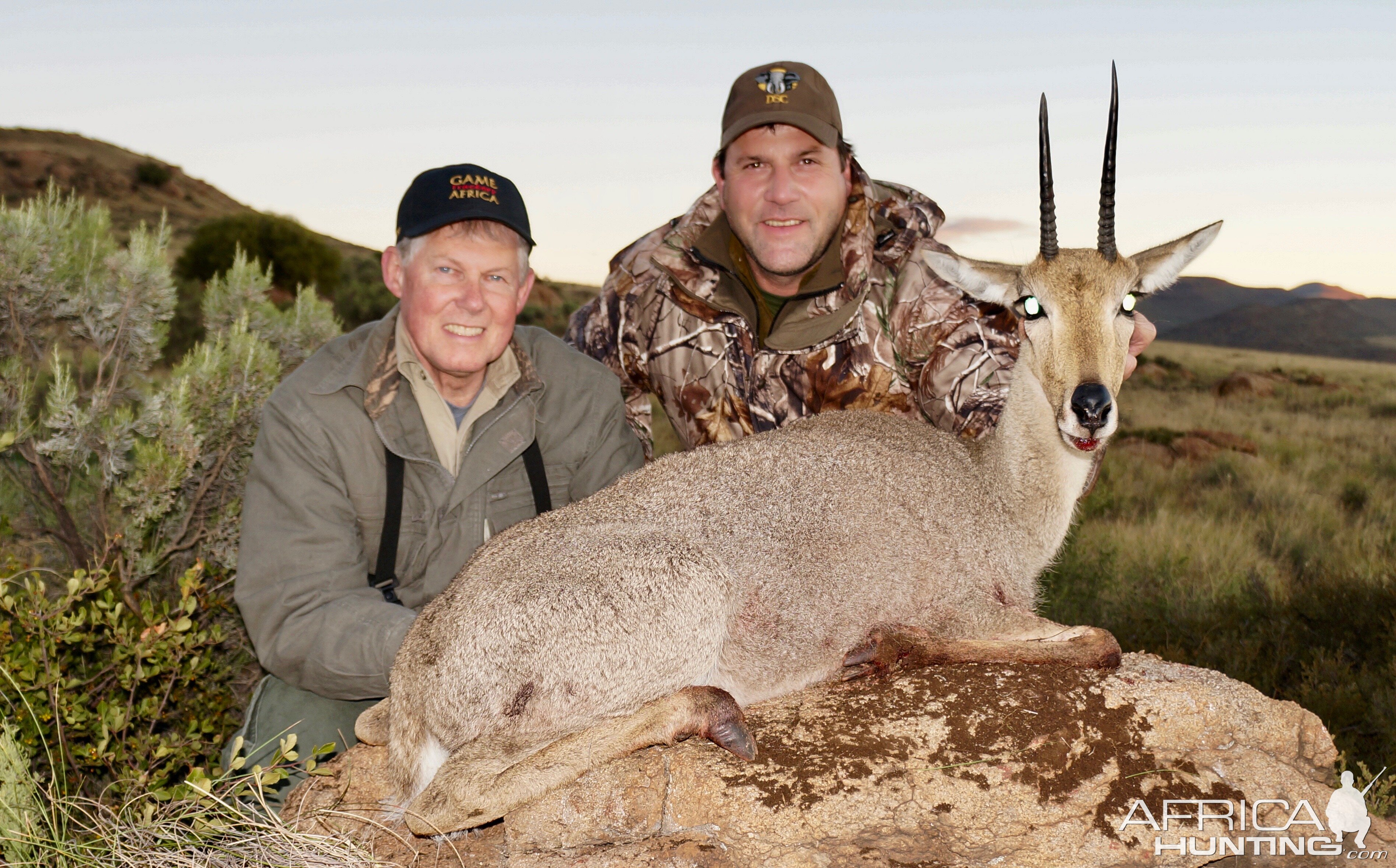 Vaal Rhebok Hunting South Africa