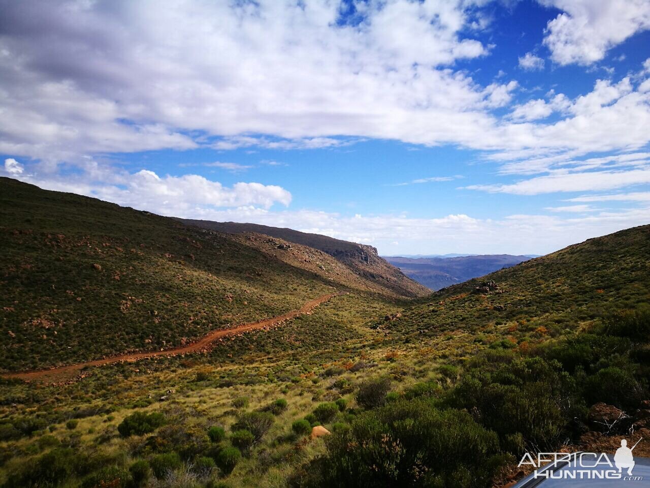 Vaal Rhebok & Klipspringer Hunt South Africa