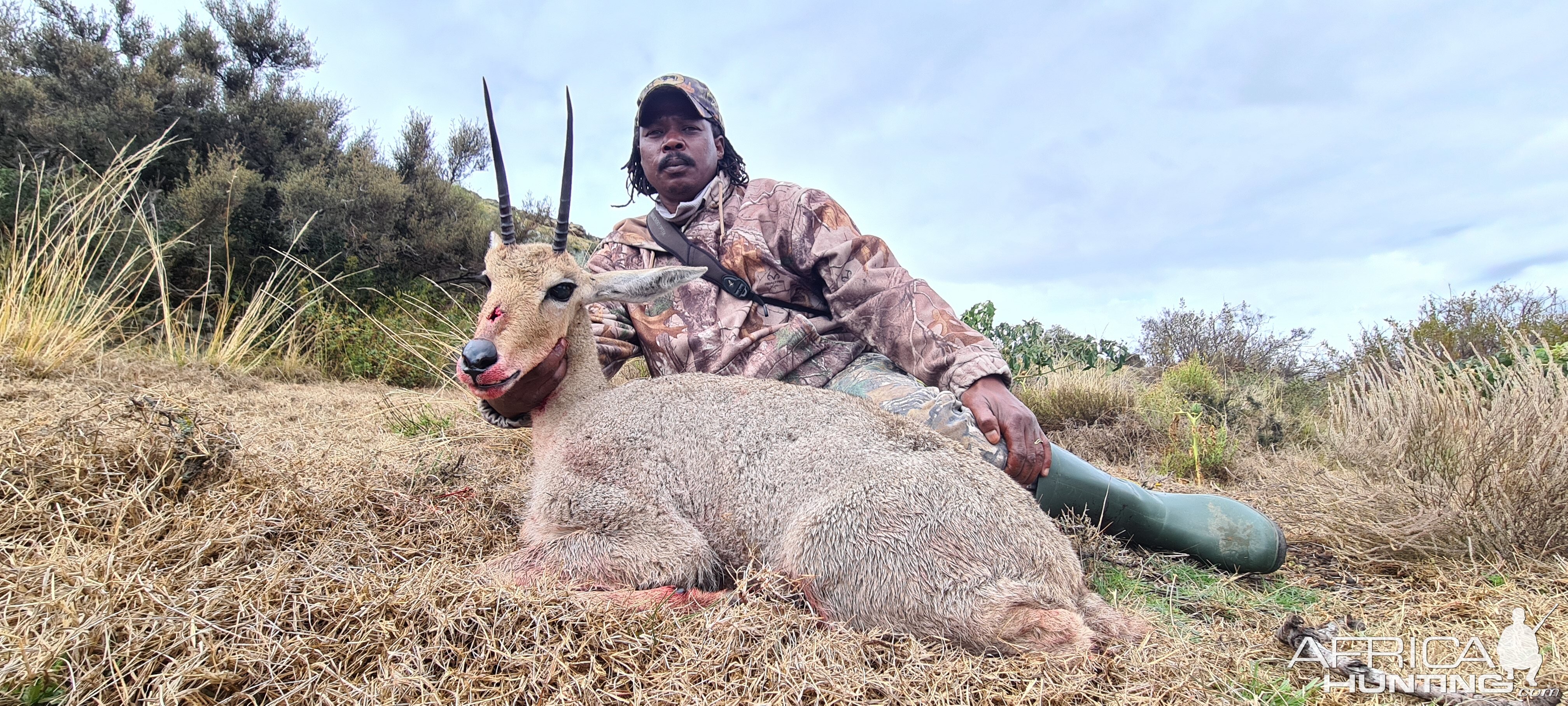 Vaal Rhebuck Hunting Eastern Cape South Africa