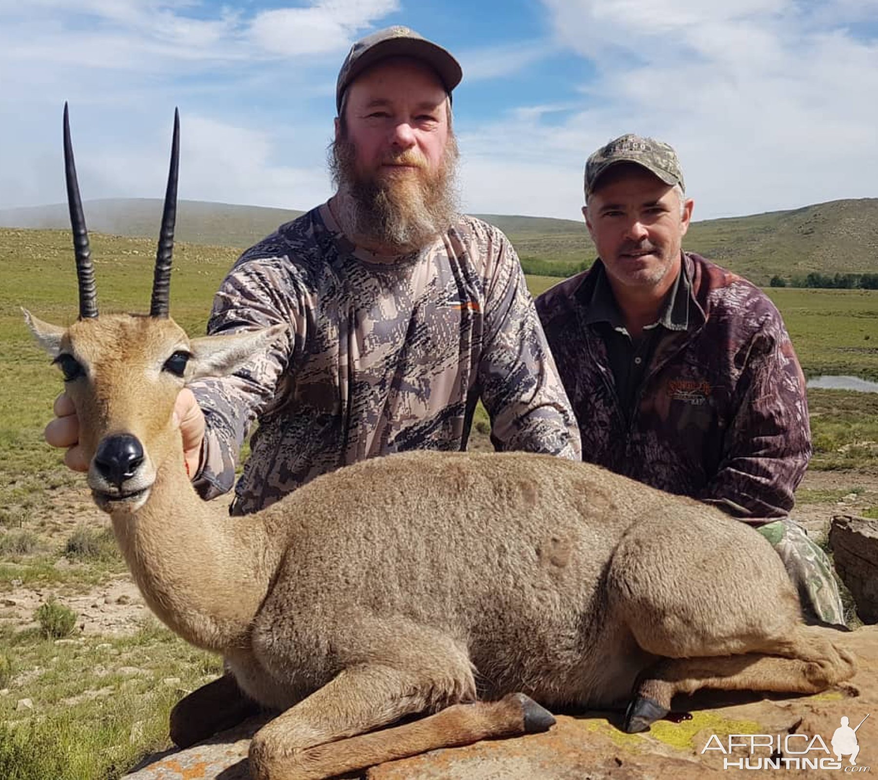 Vaal Rhebuck Hunting Eastern Cape South Africa