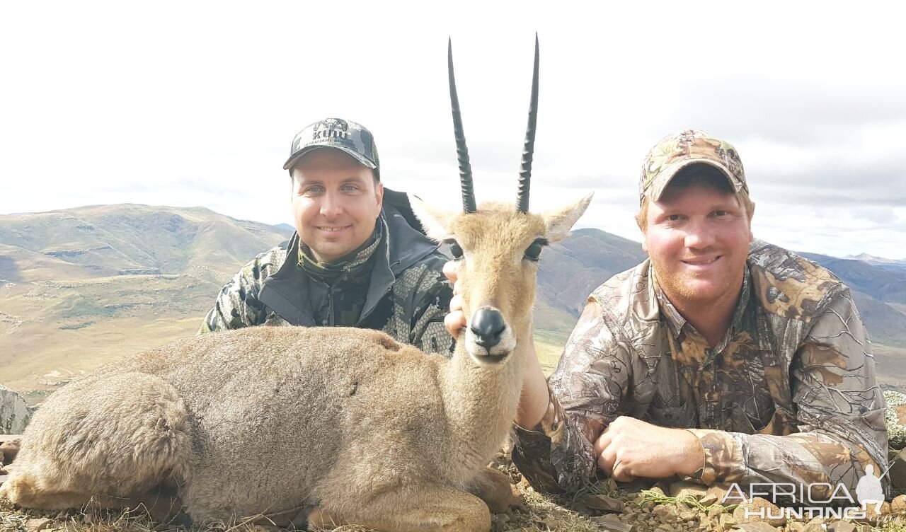 Vaal Rhebuck Hunting South Africa