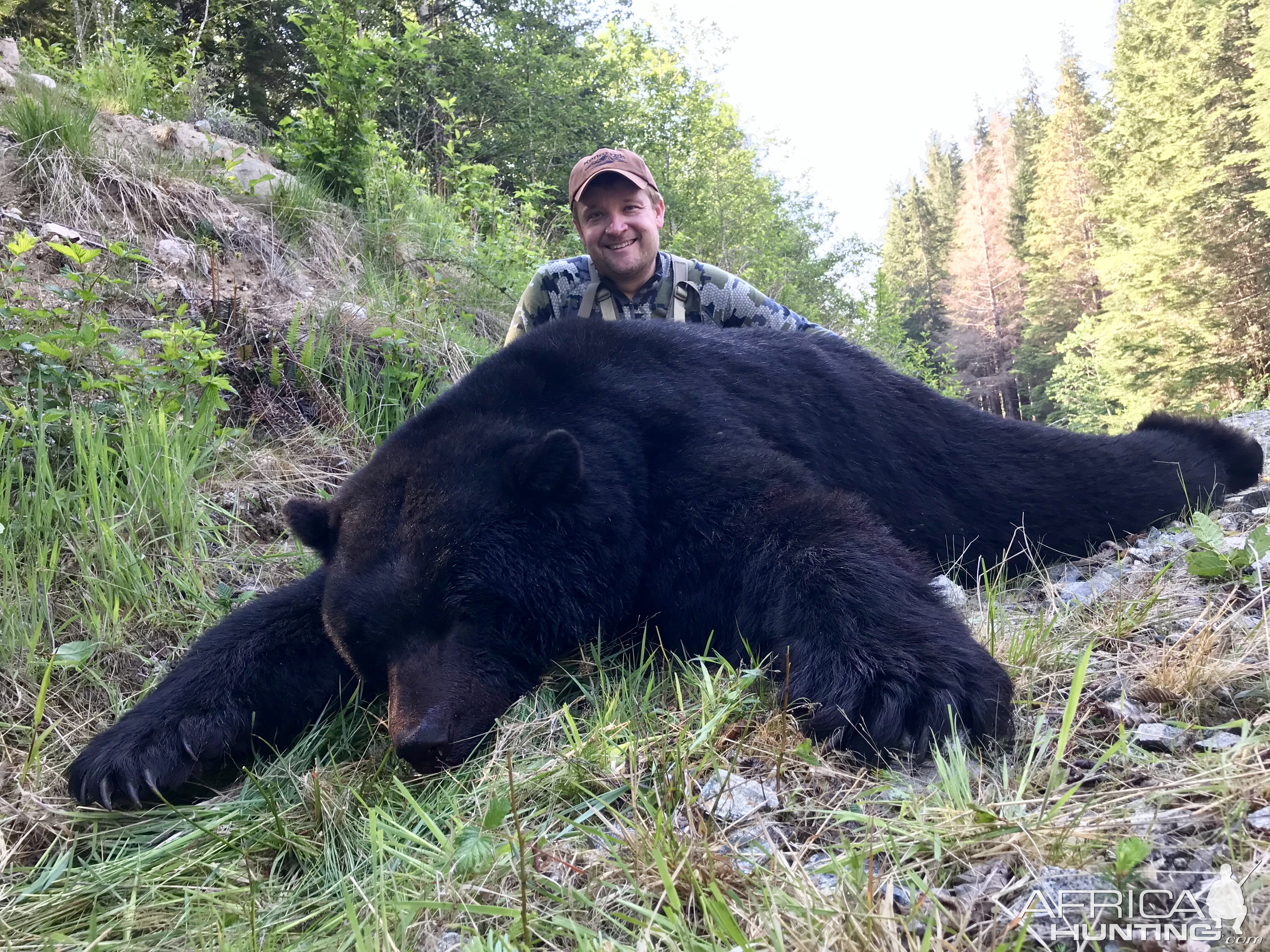 Vancouver Island, BC - coastal black bear