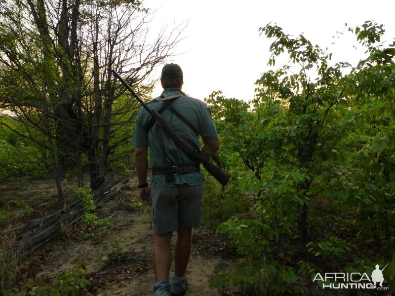 Vegetation thick and green Zimbabwe