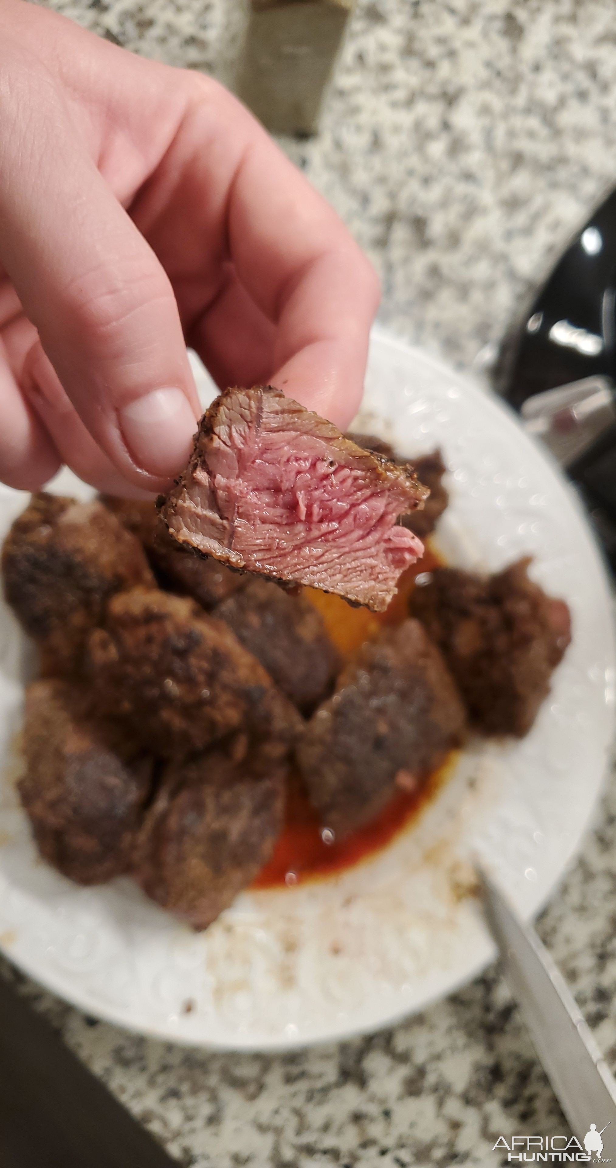 Venison steak