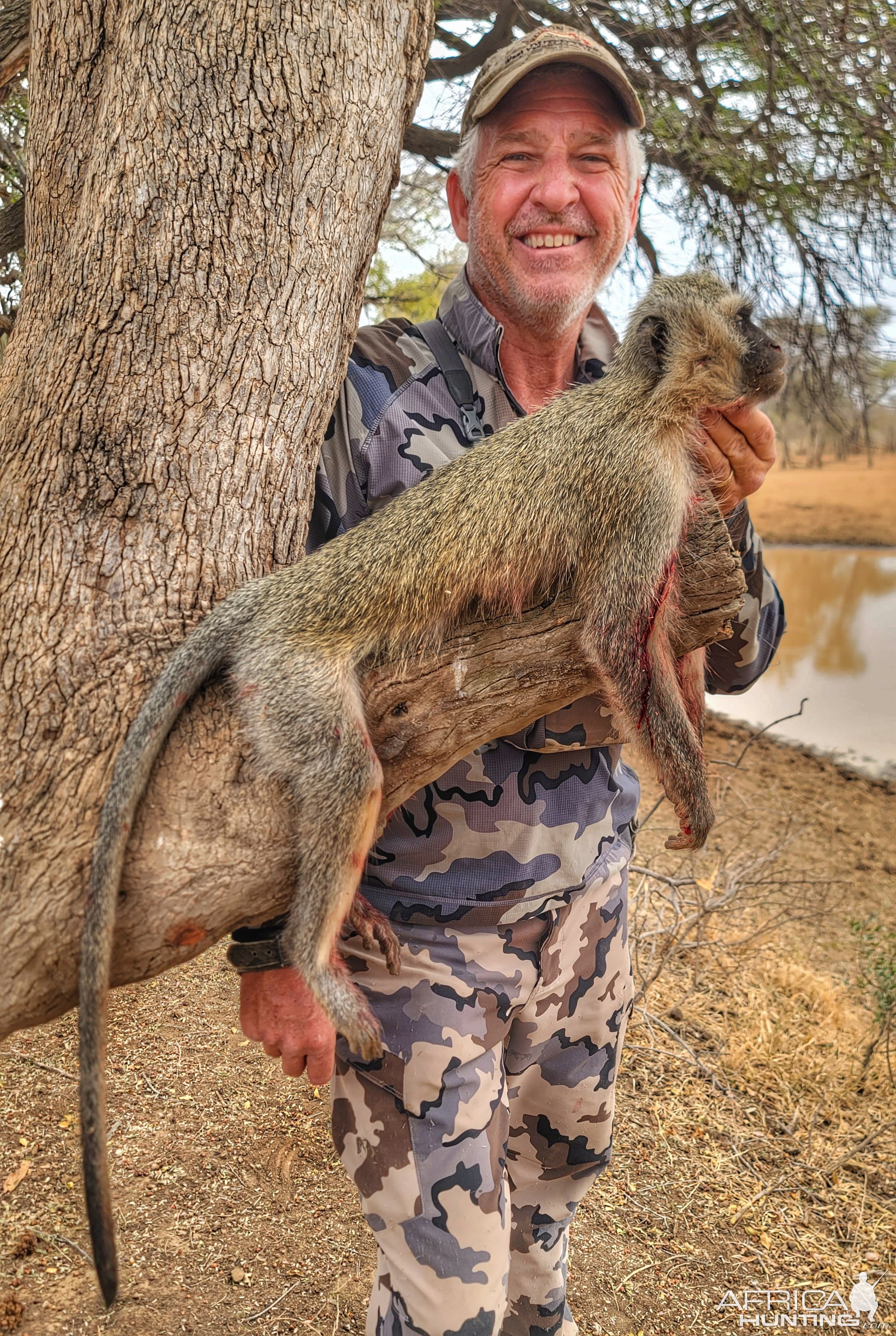 Vervet Monkey Bow Hunt South Africa