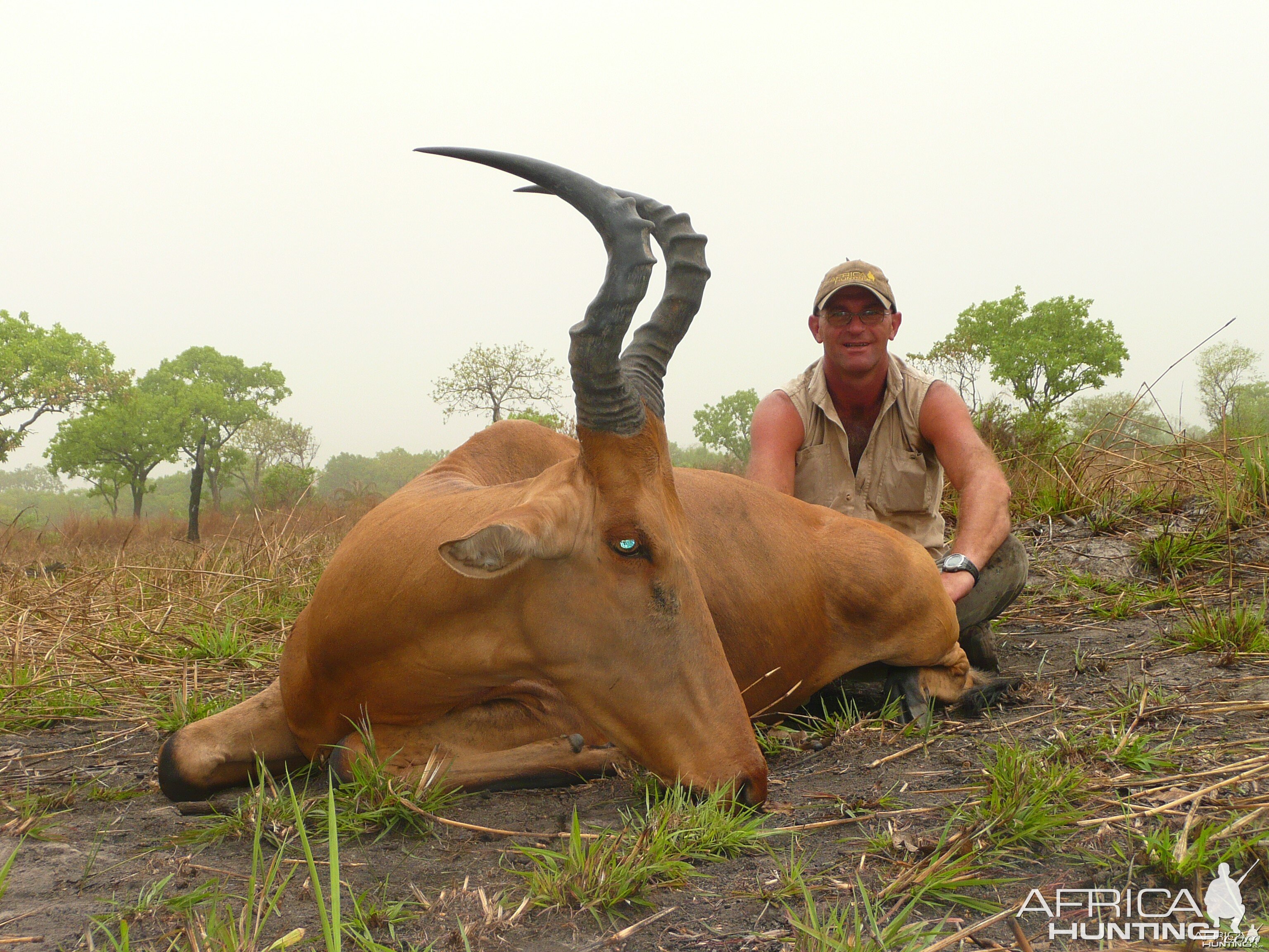 Very good 24' inches lelwel hartebeest hunted in Central African Republic