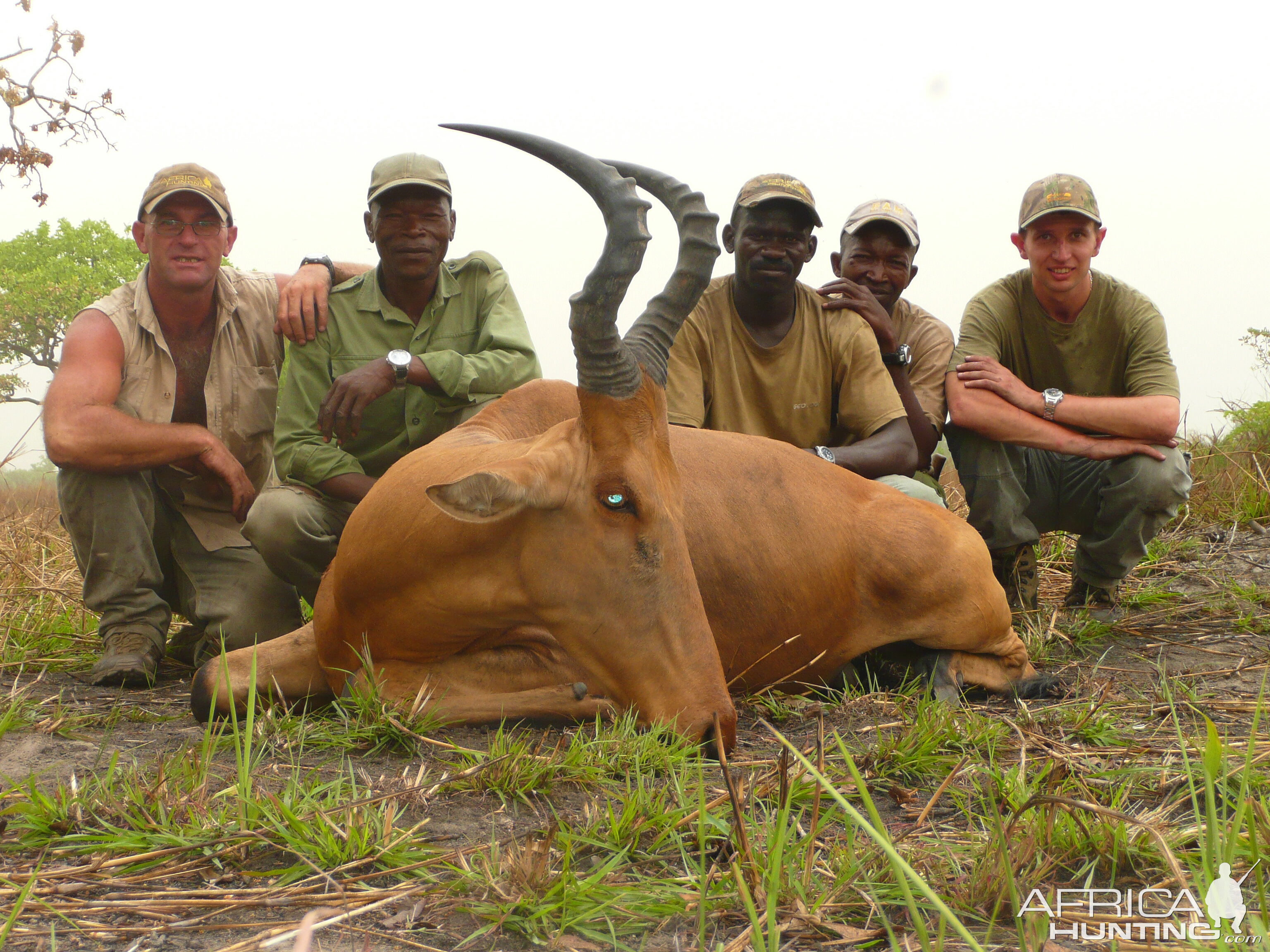 Very good 24' inches lelwel hartebeest hunted in Central African Republic