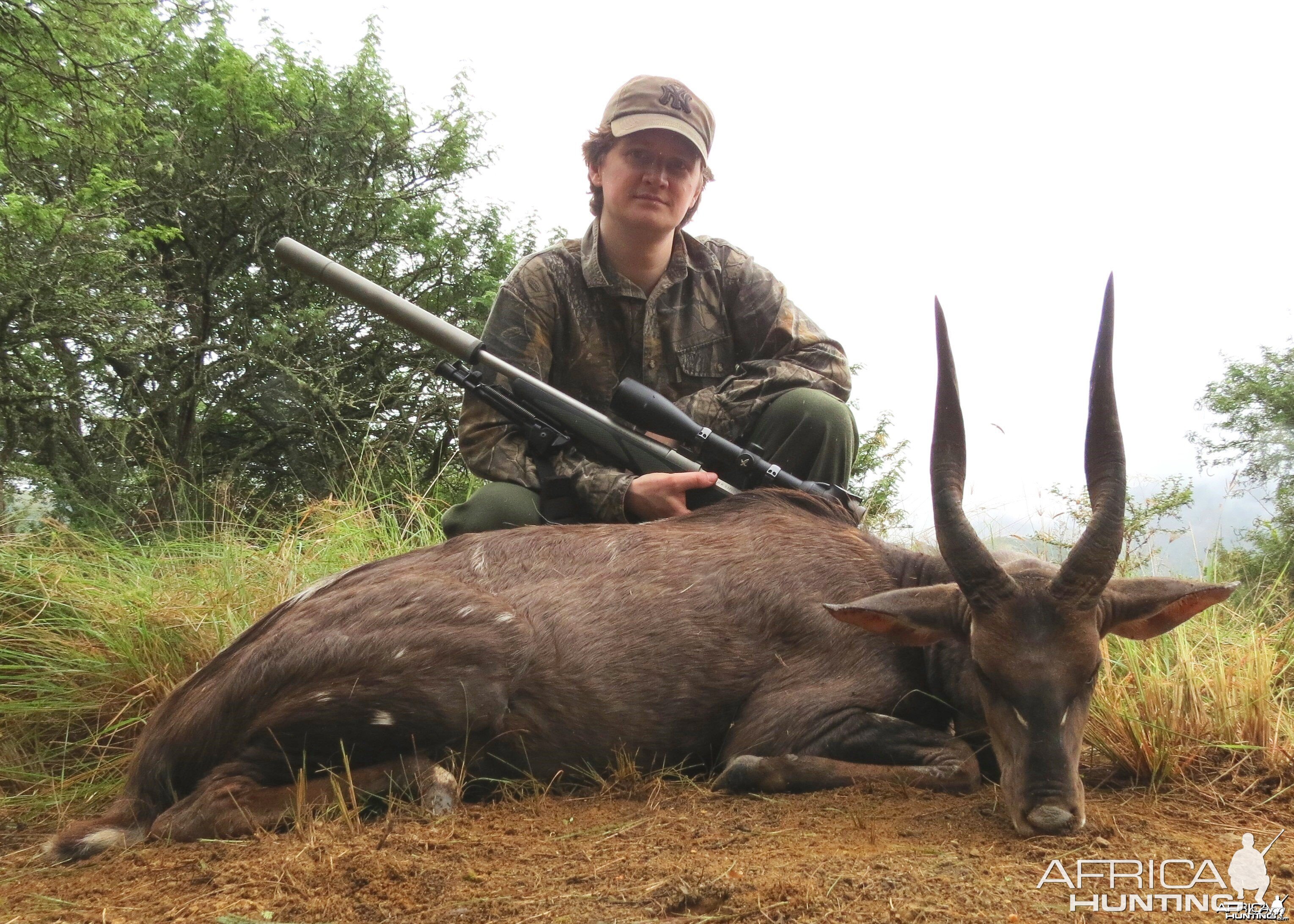 Very old Natal Bushbuck