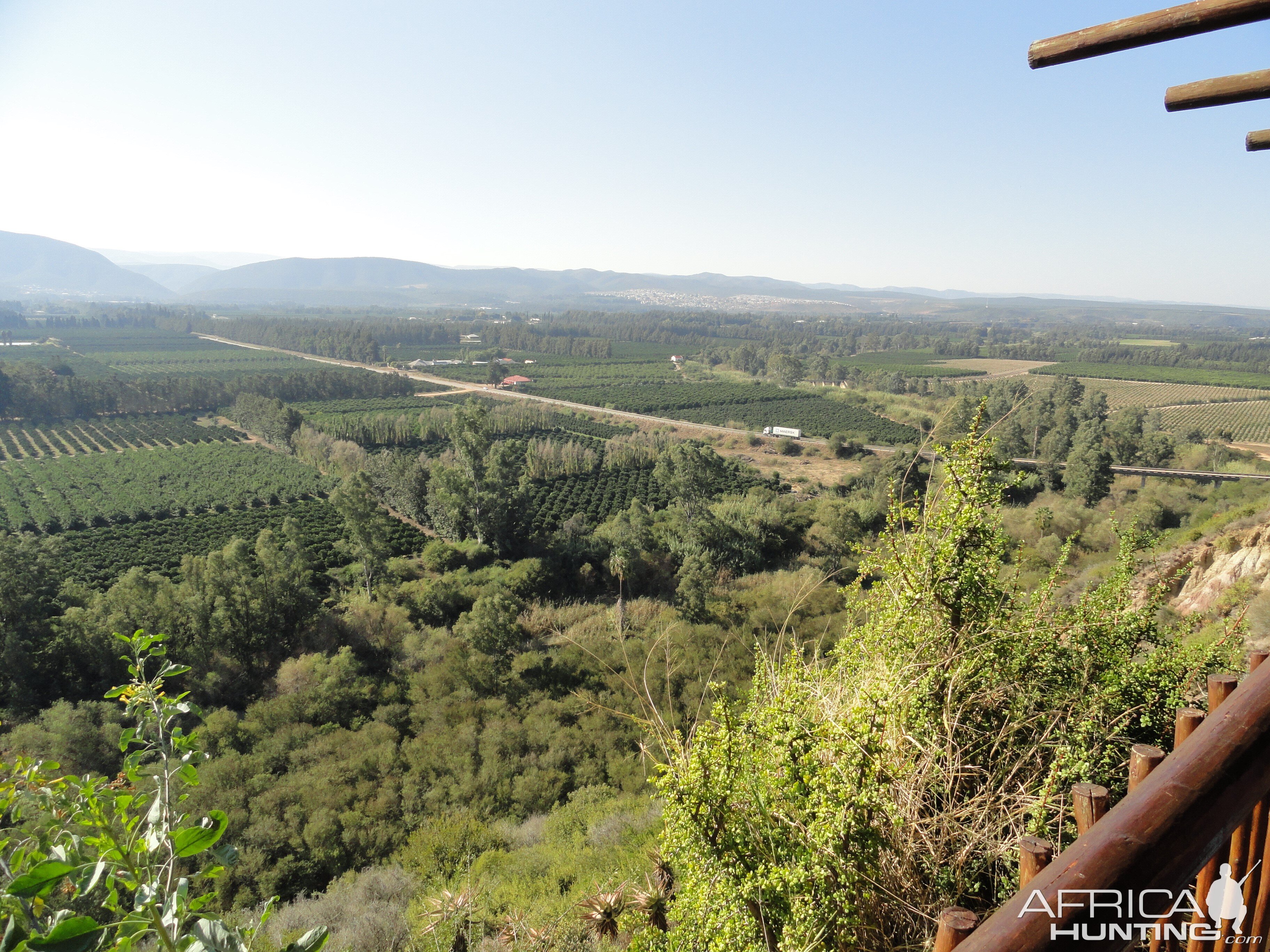 View at lunch