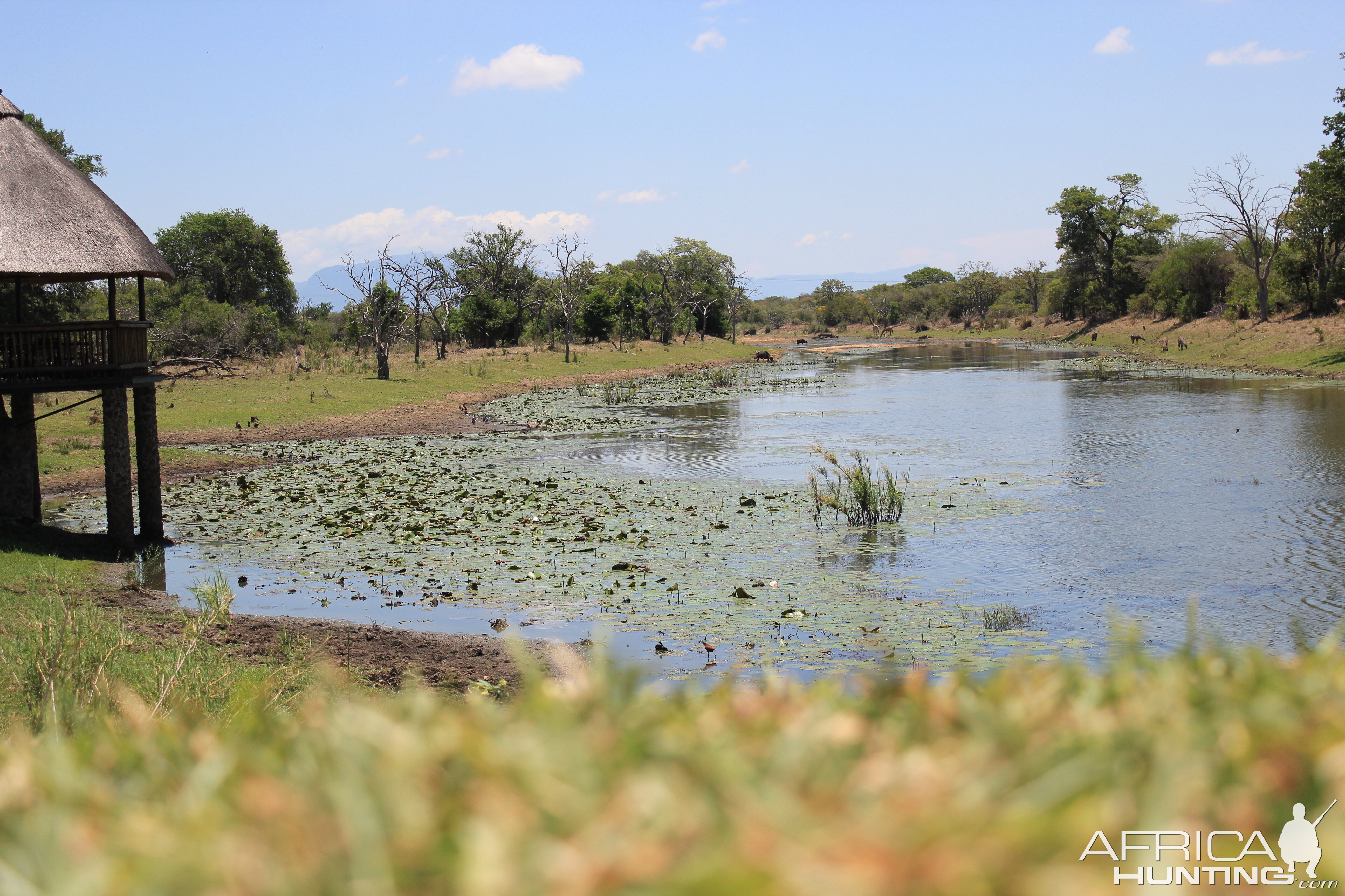 View from Bushbuck Lodge Hunting Accommodation