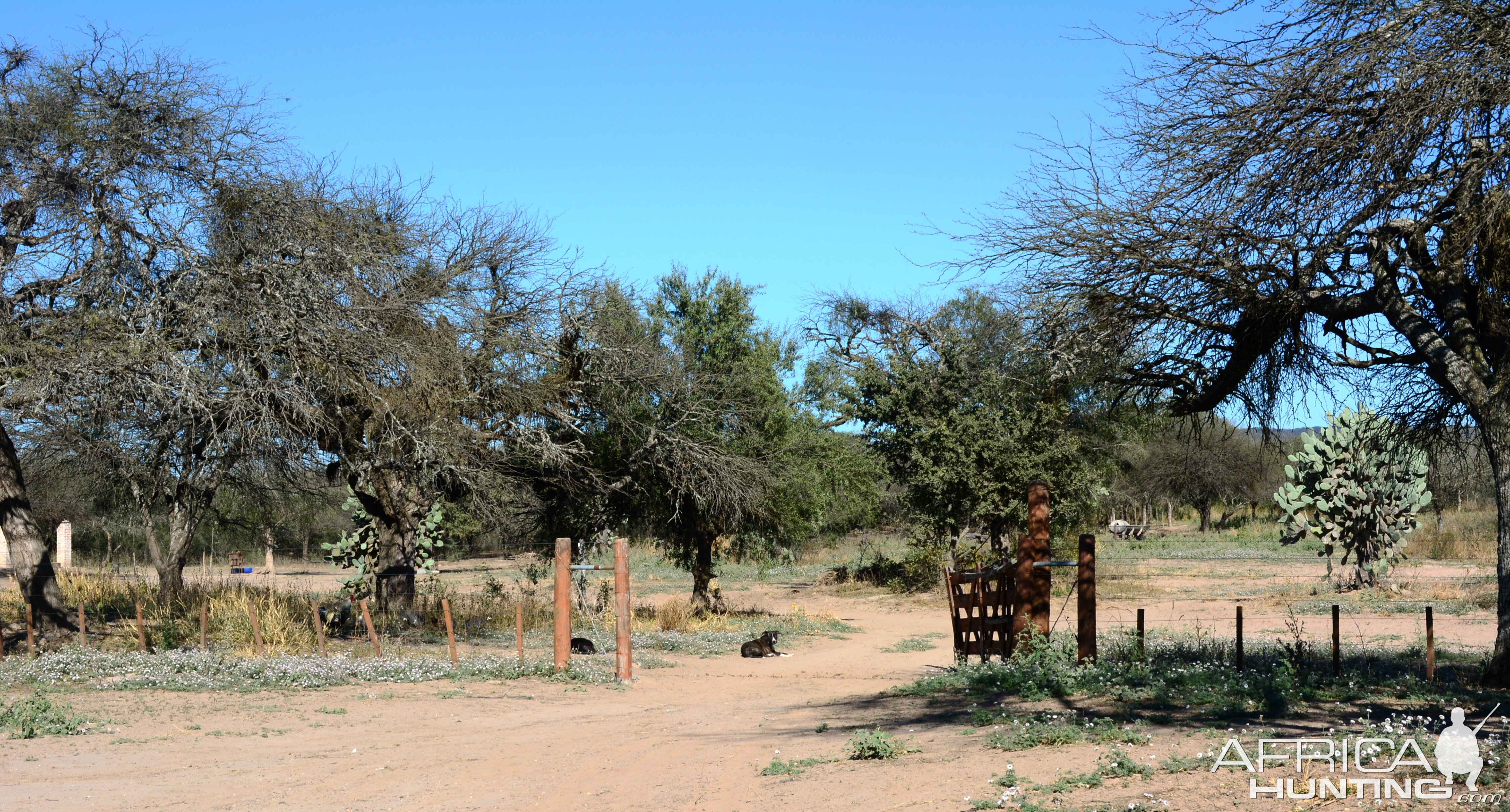 View from Lodge Argentina