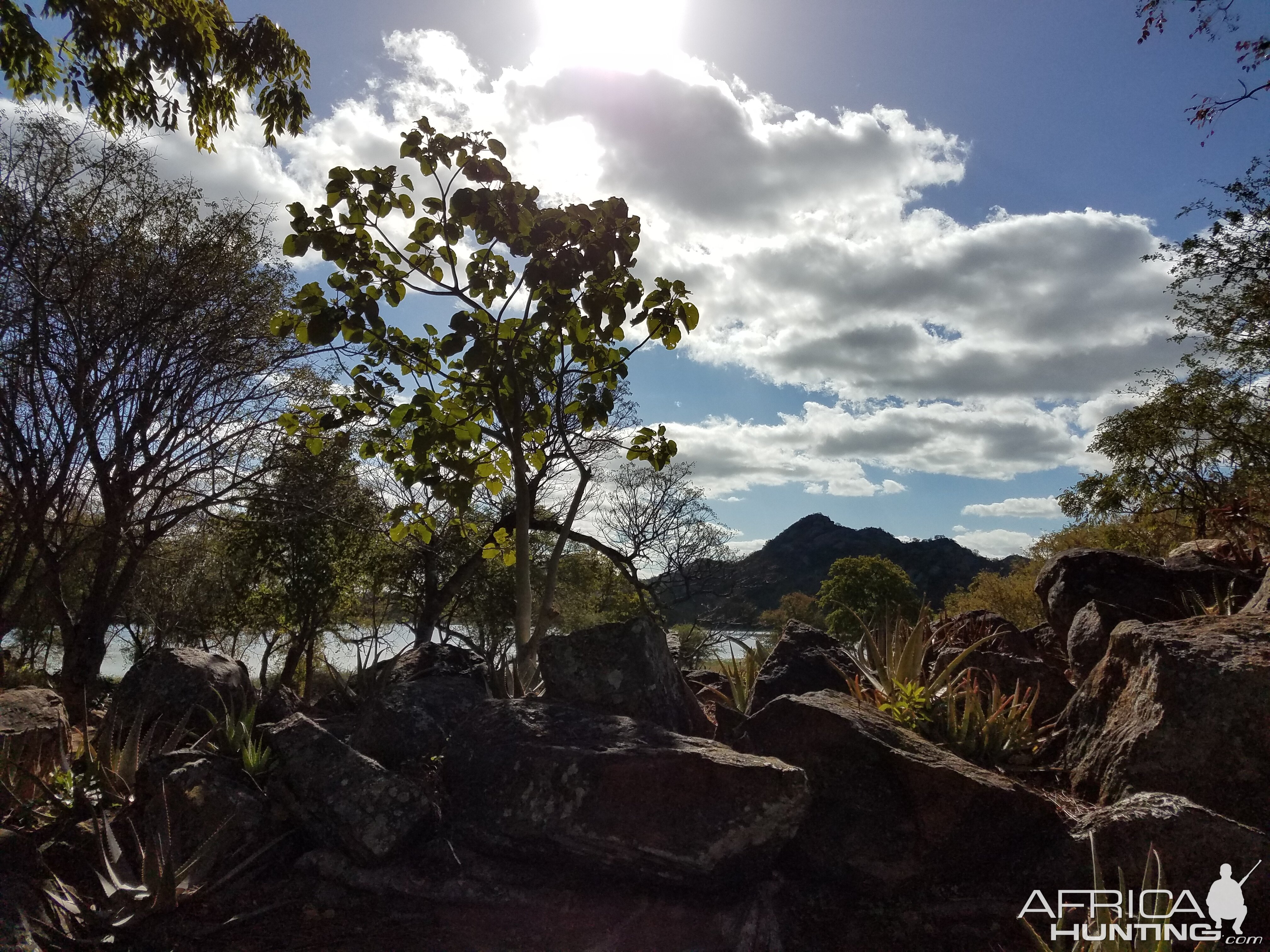 View from Lodge Garden