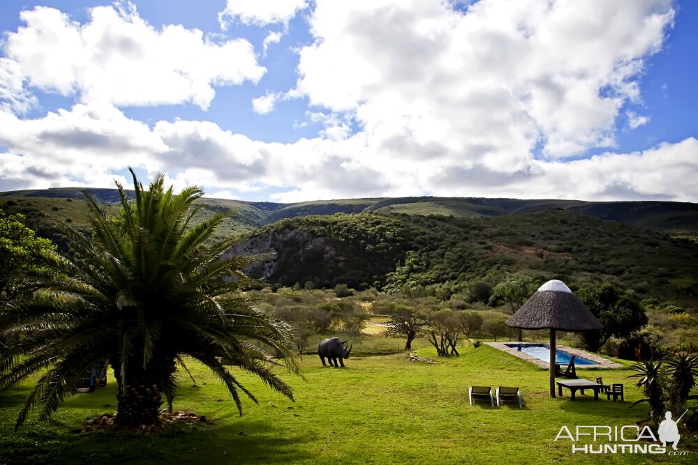 View From The Lodge