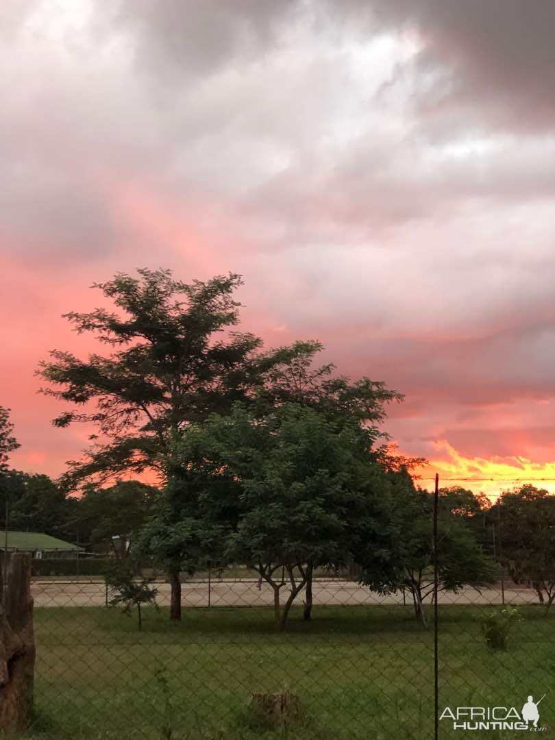 View from the lodge