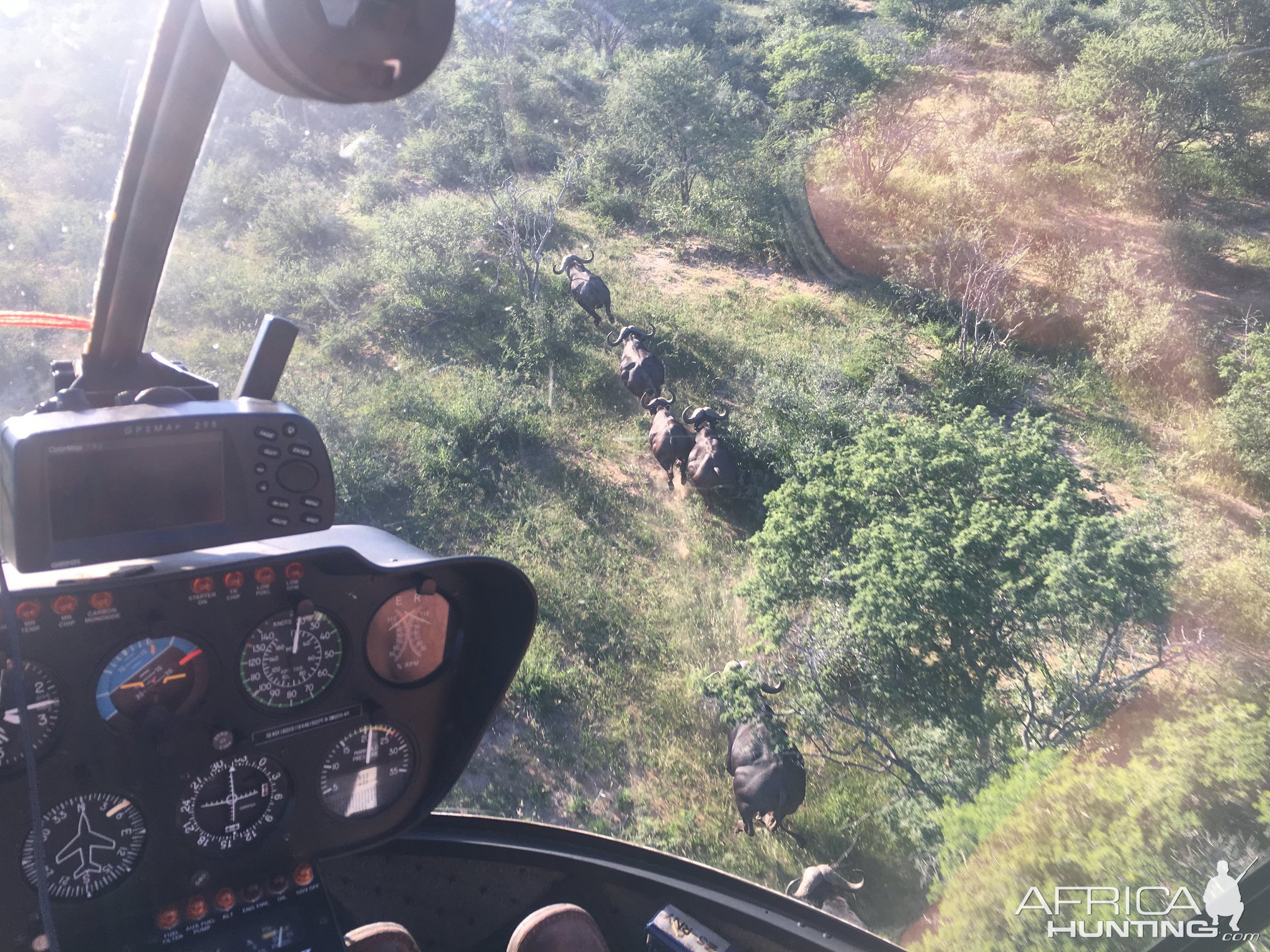 View of Cape Buffalo from the air