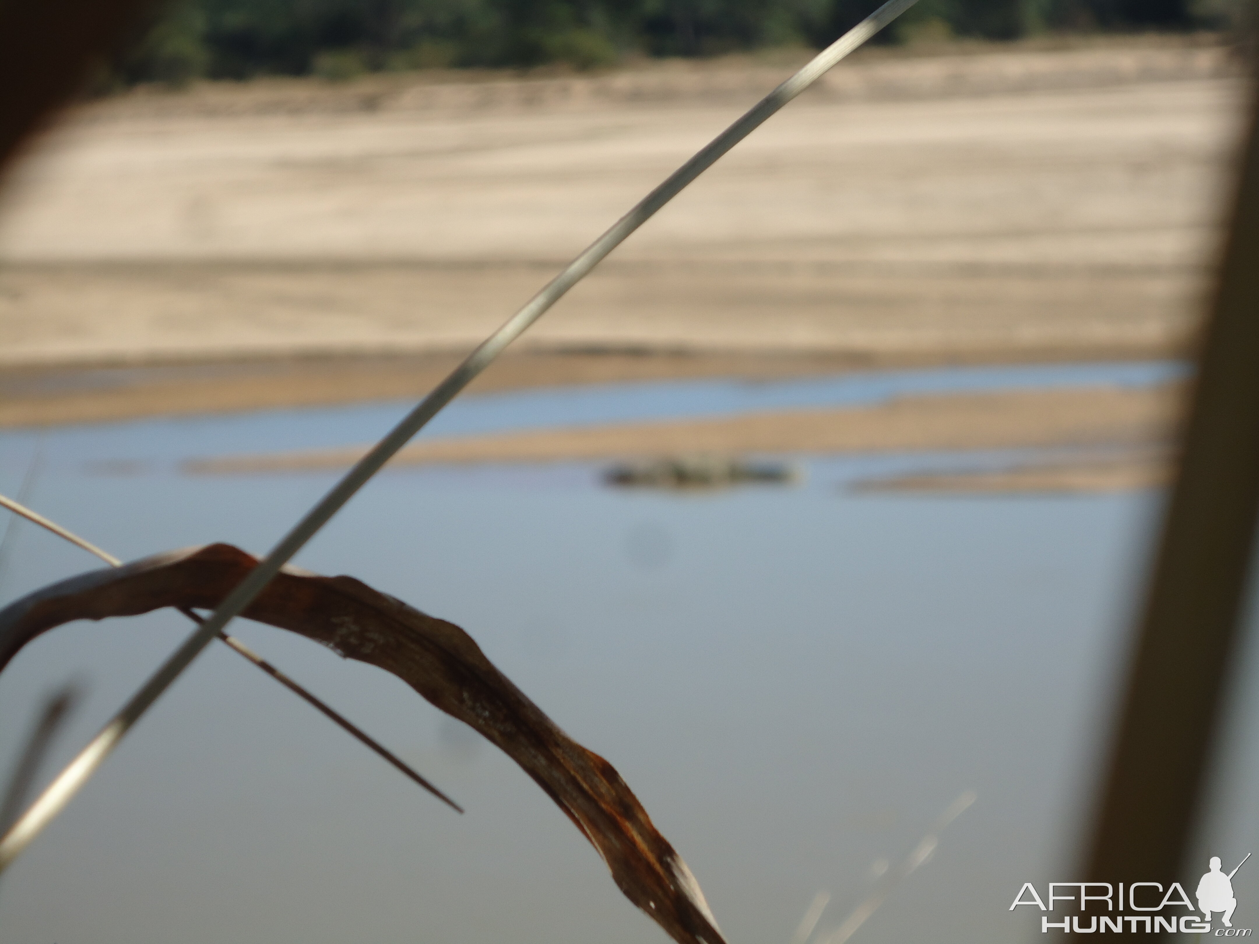 View of Crocodile from blind