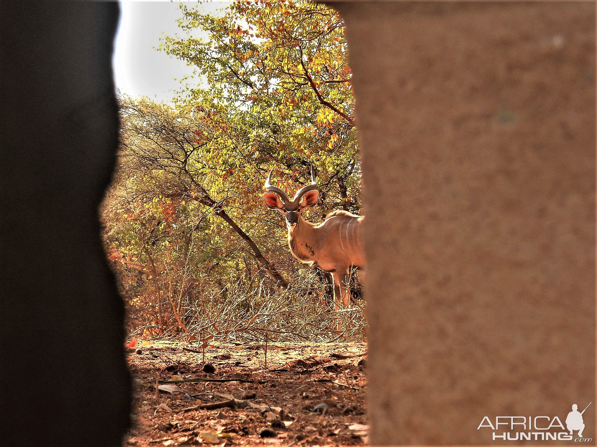 View of Kudu from blind