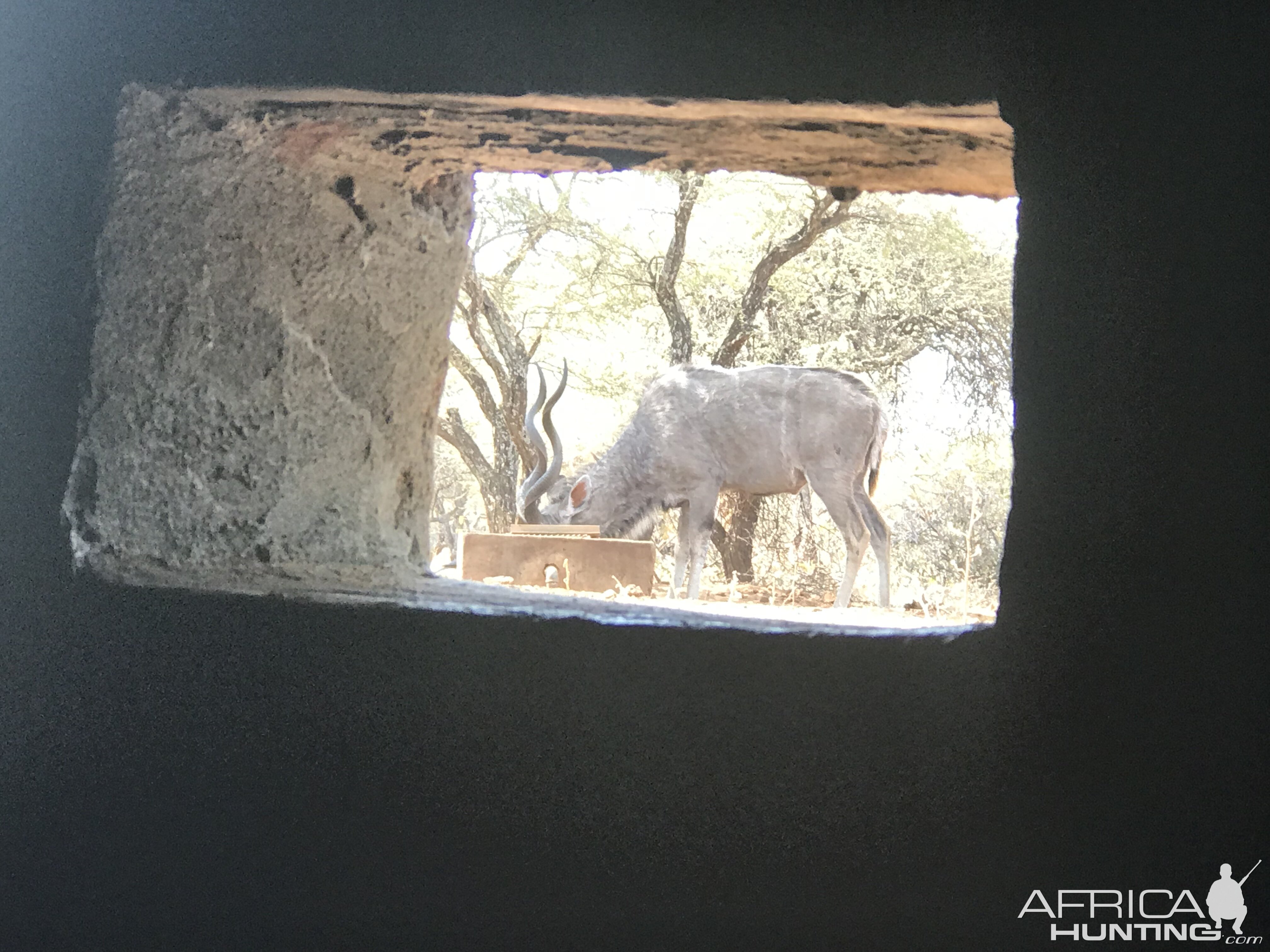 View of Kudu from the Bow Blind Hide