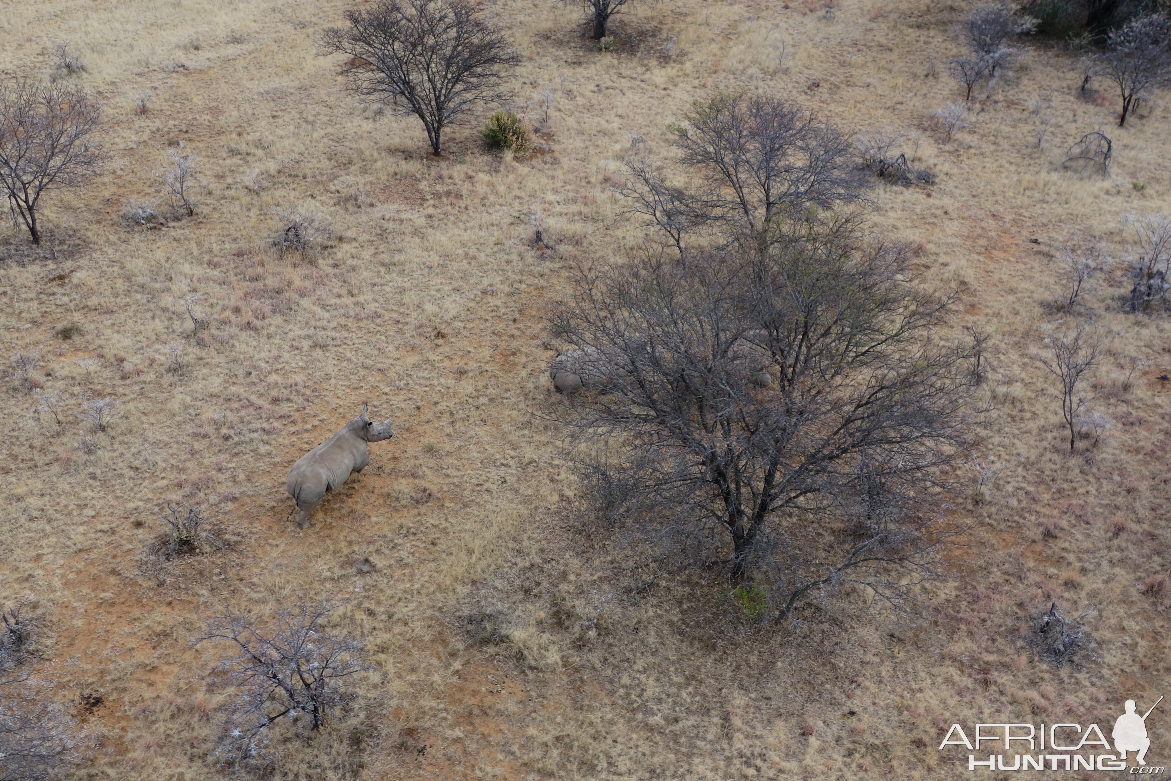 View of Rhino from helicopter