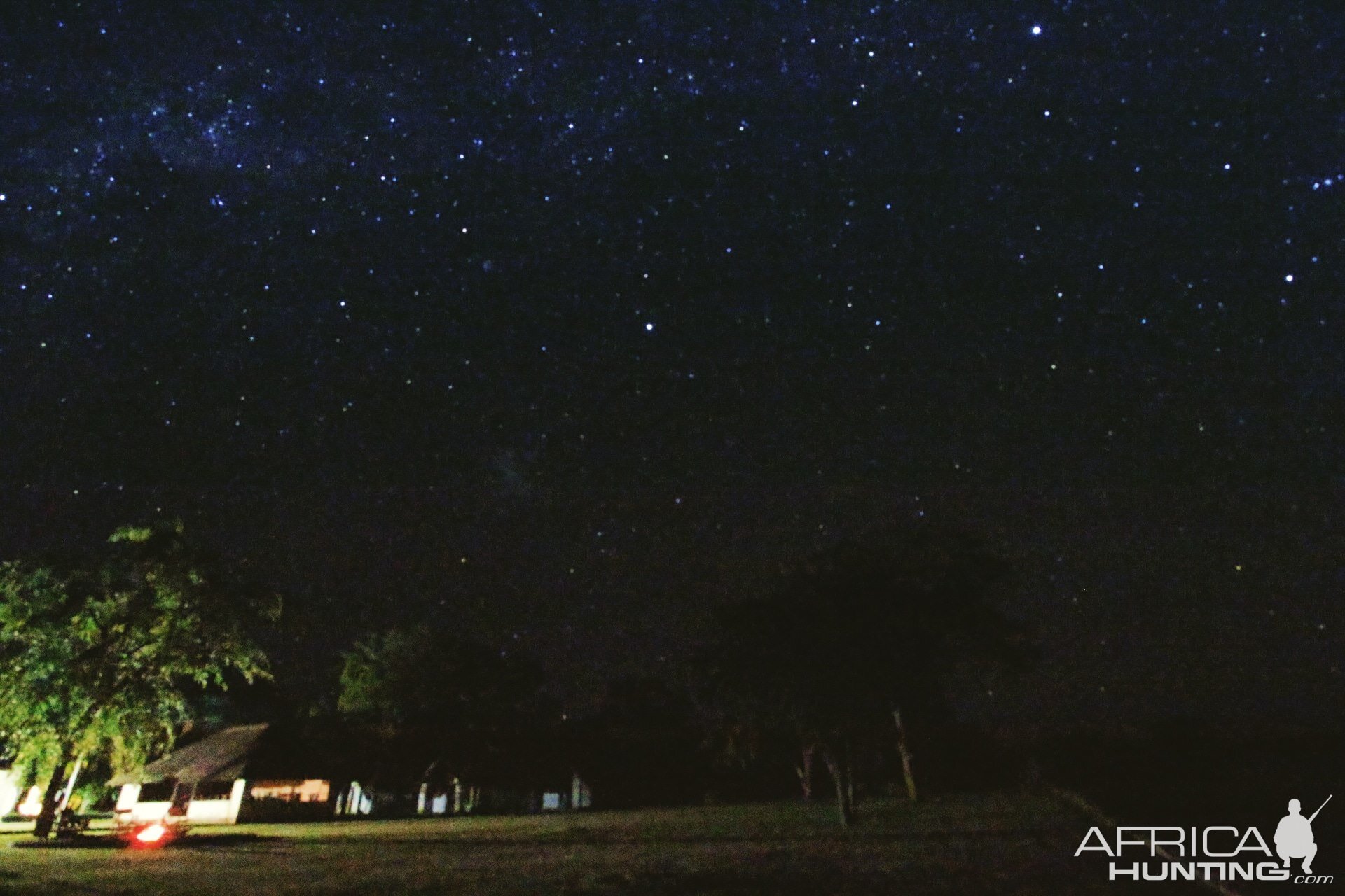 View of the stars from the Lodge