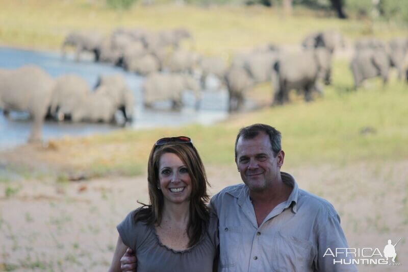 Viewing Elephants in Namibia