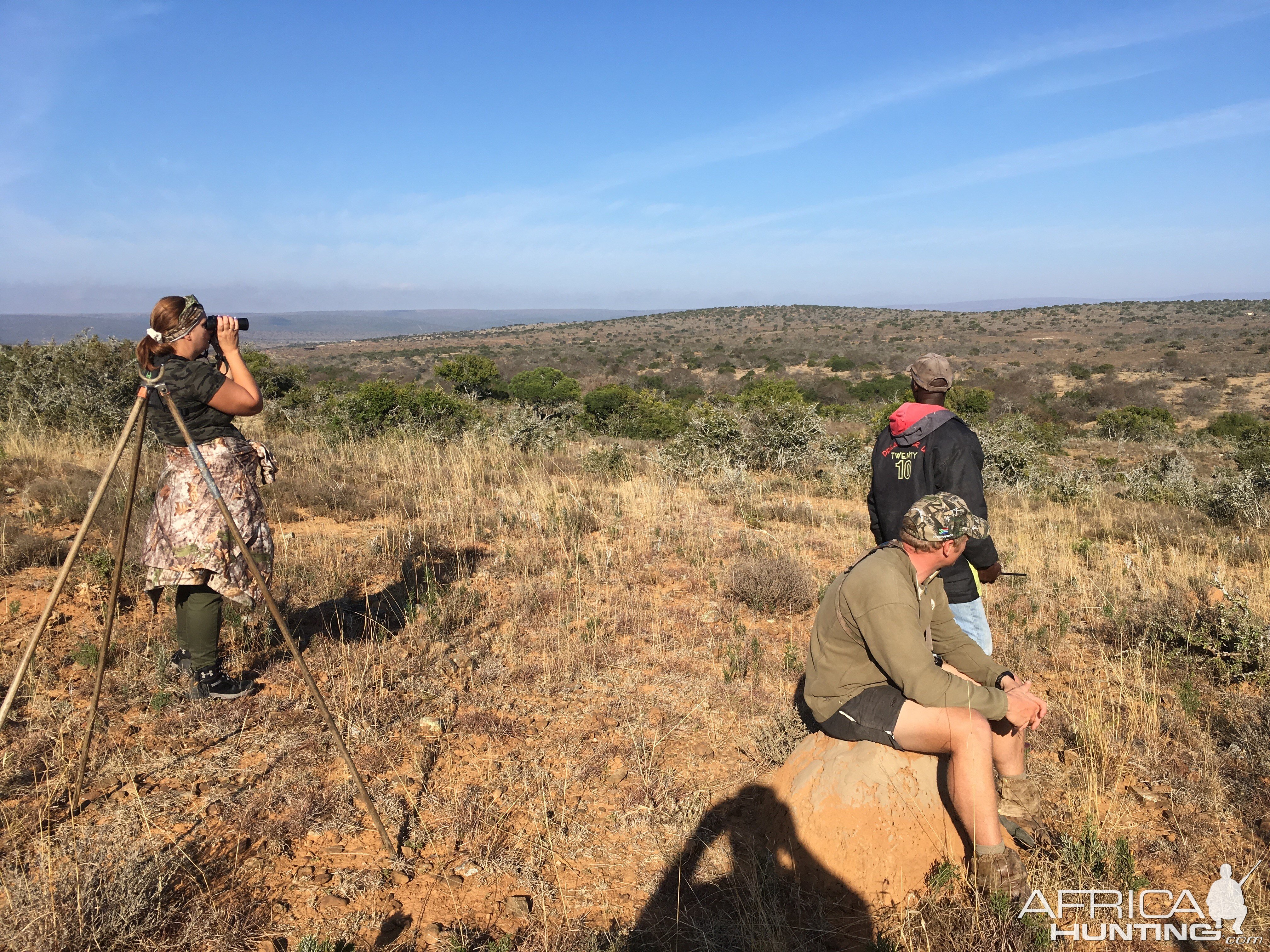 Viewing Waterbuck South Africa