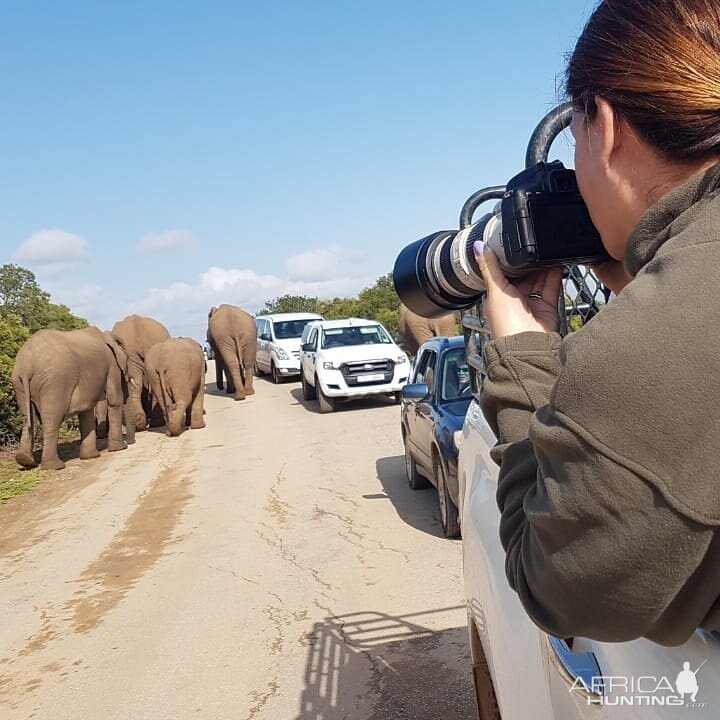 Visiting Elephant Park in South Africa