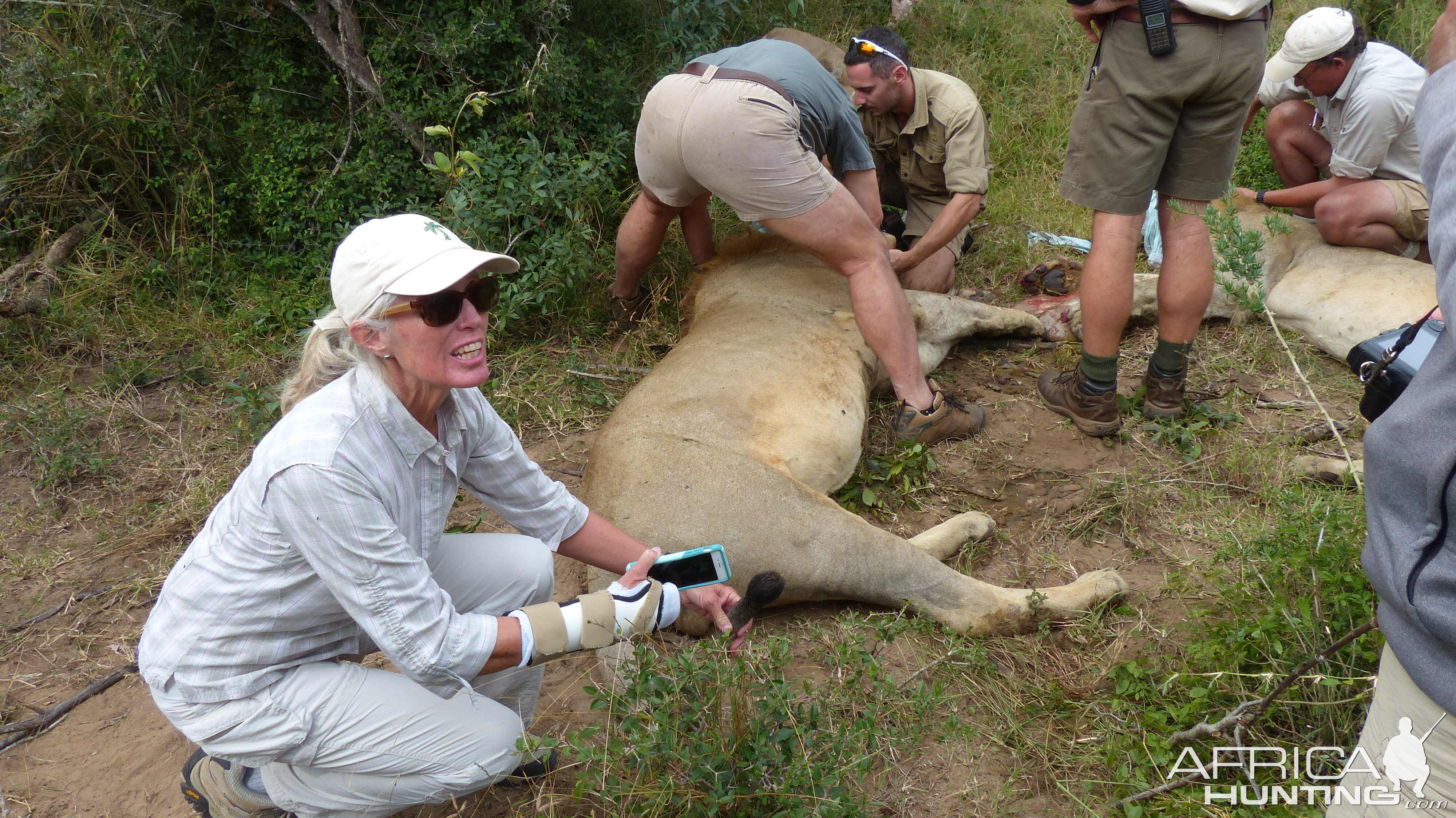 Volunteering on wildlife reserves and with wildlife veterinarians in Africa