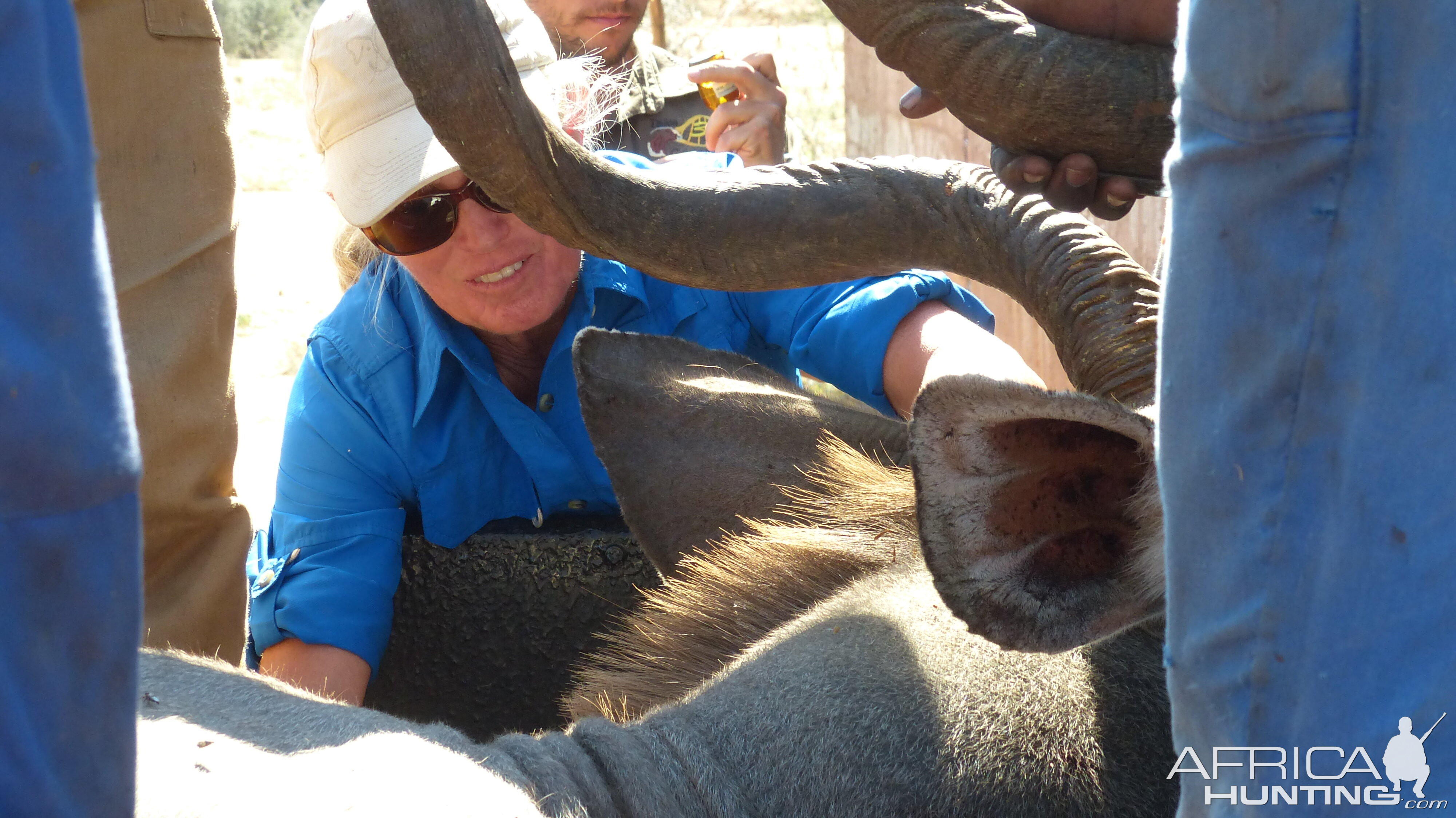 Volunteering on wildlife reserves and with wildlife veterinarians in Africa