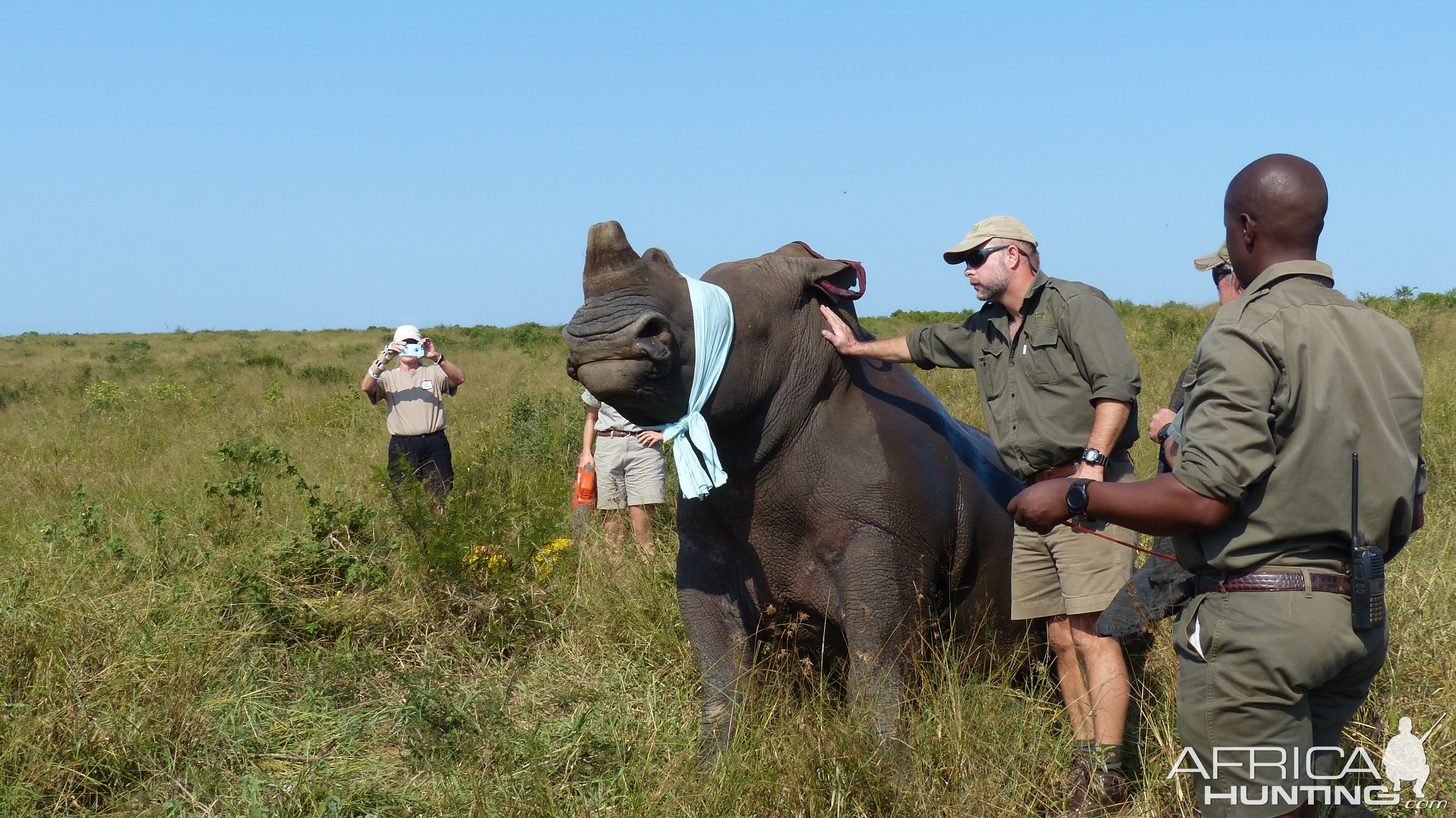 Volunteering on wildlife reserves and with wildlife veterinarians in Africa