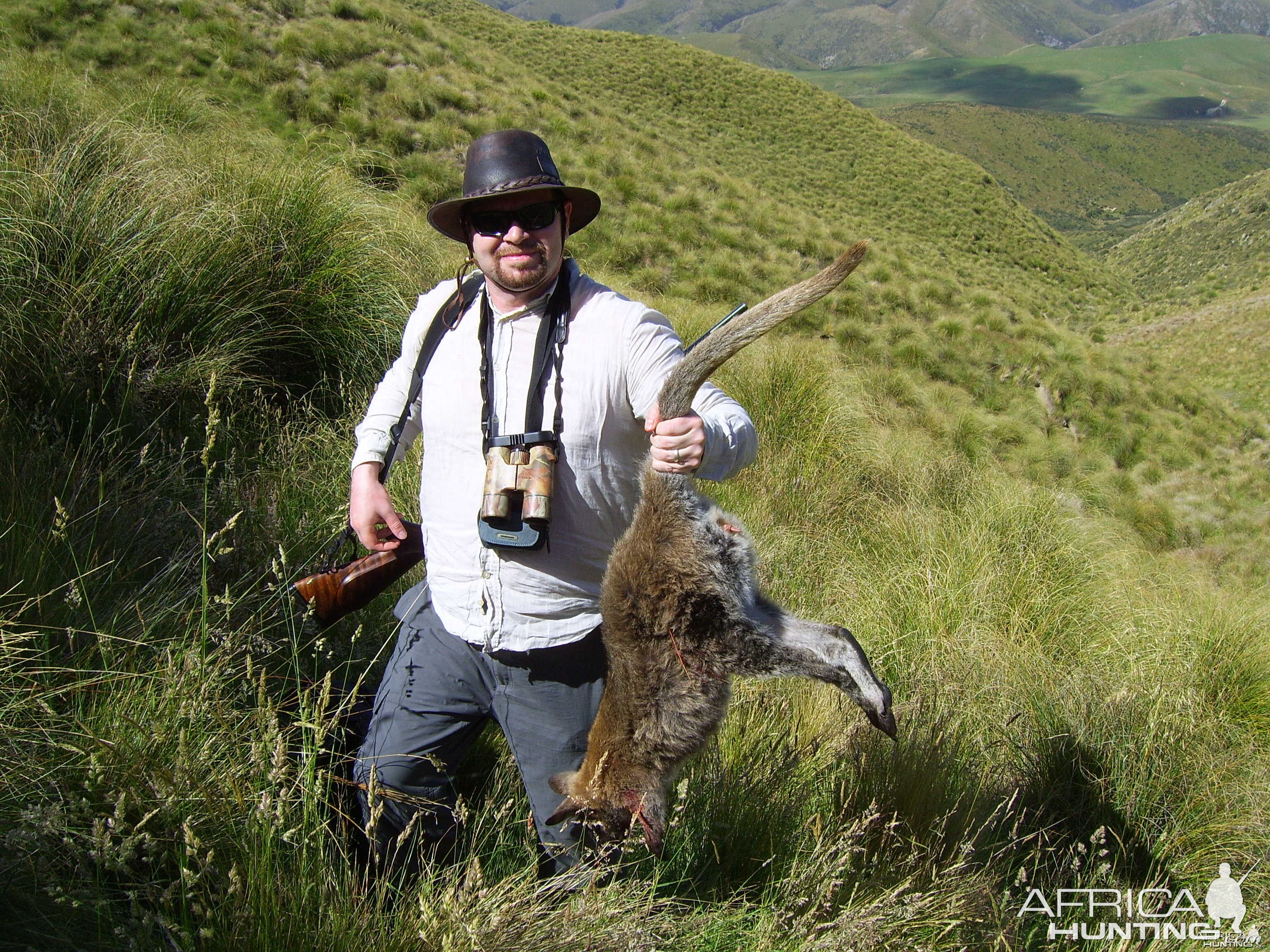 Wallaby hunting in New Zealand