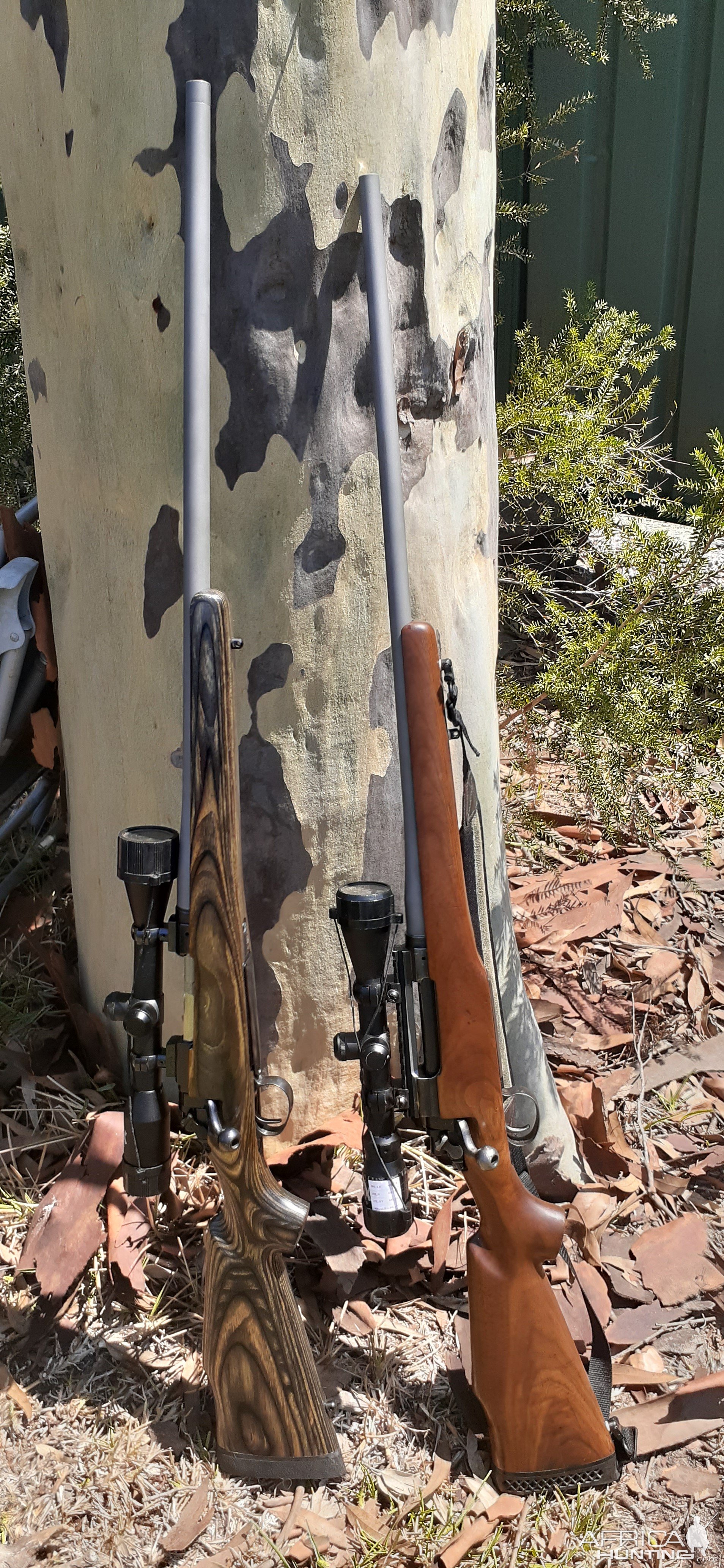 Walnut & Laminated Stocks Hunting Rifles