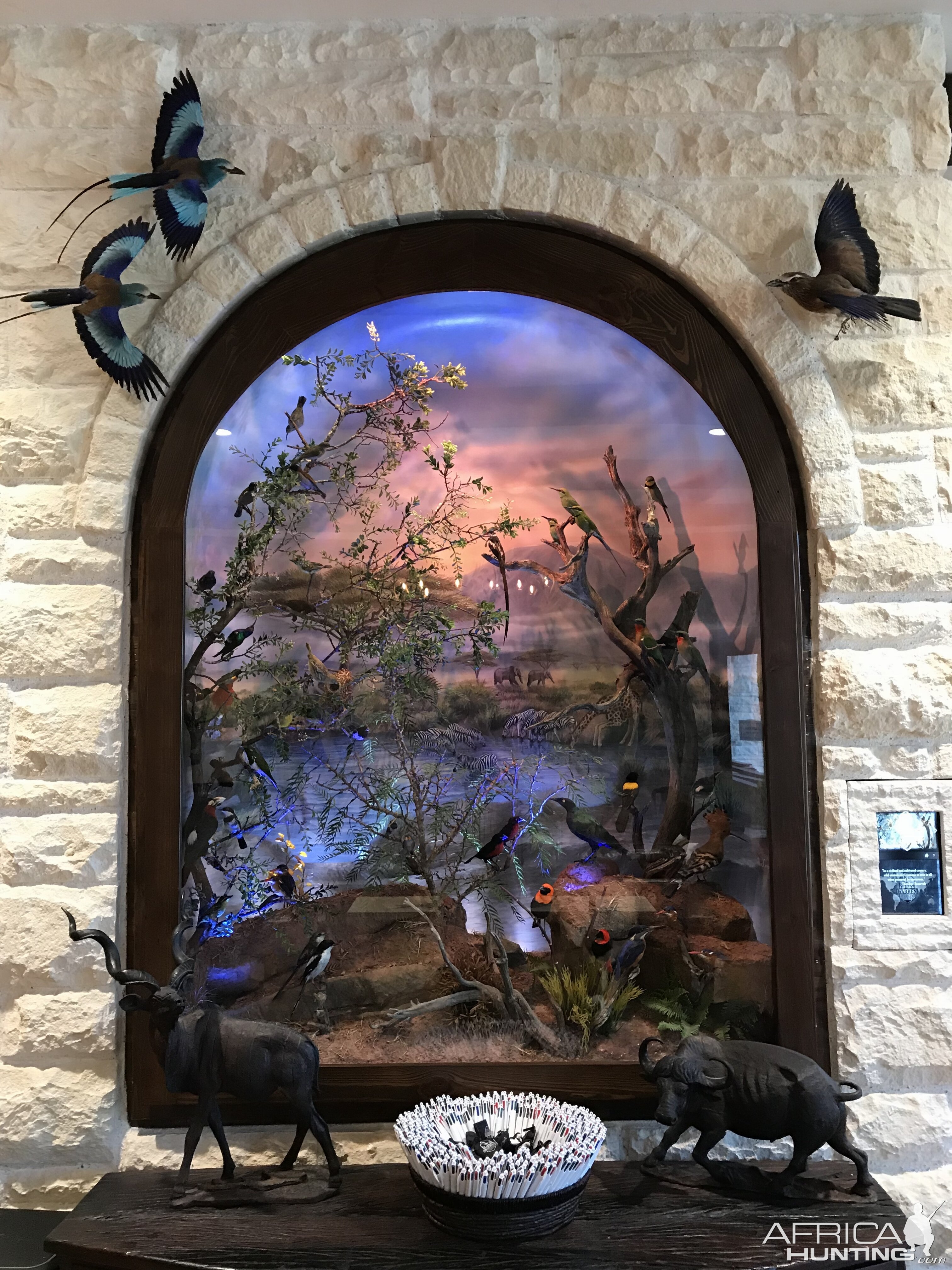 Warren Wildlife Gallery