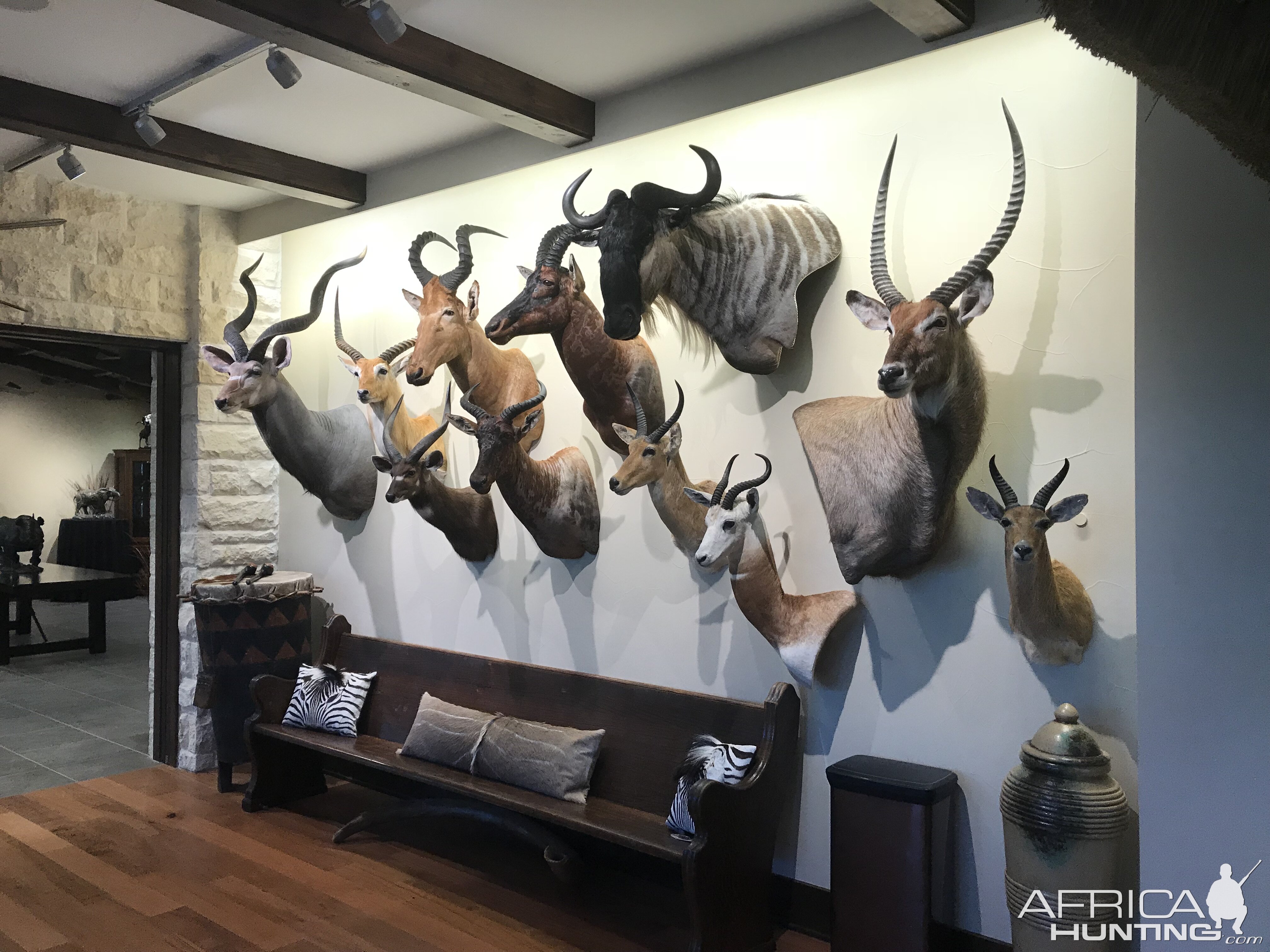 Warren Wildlife Gallery