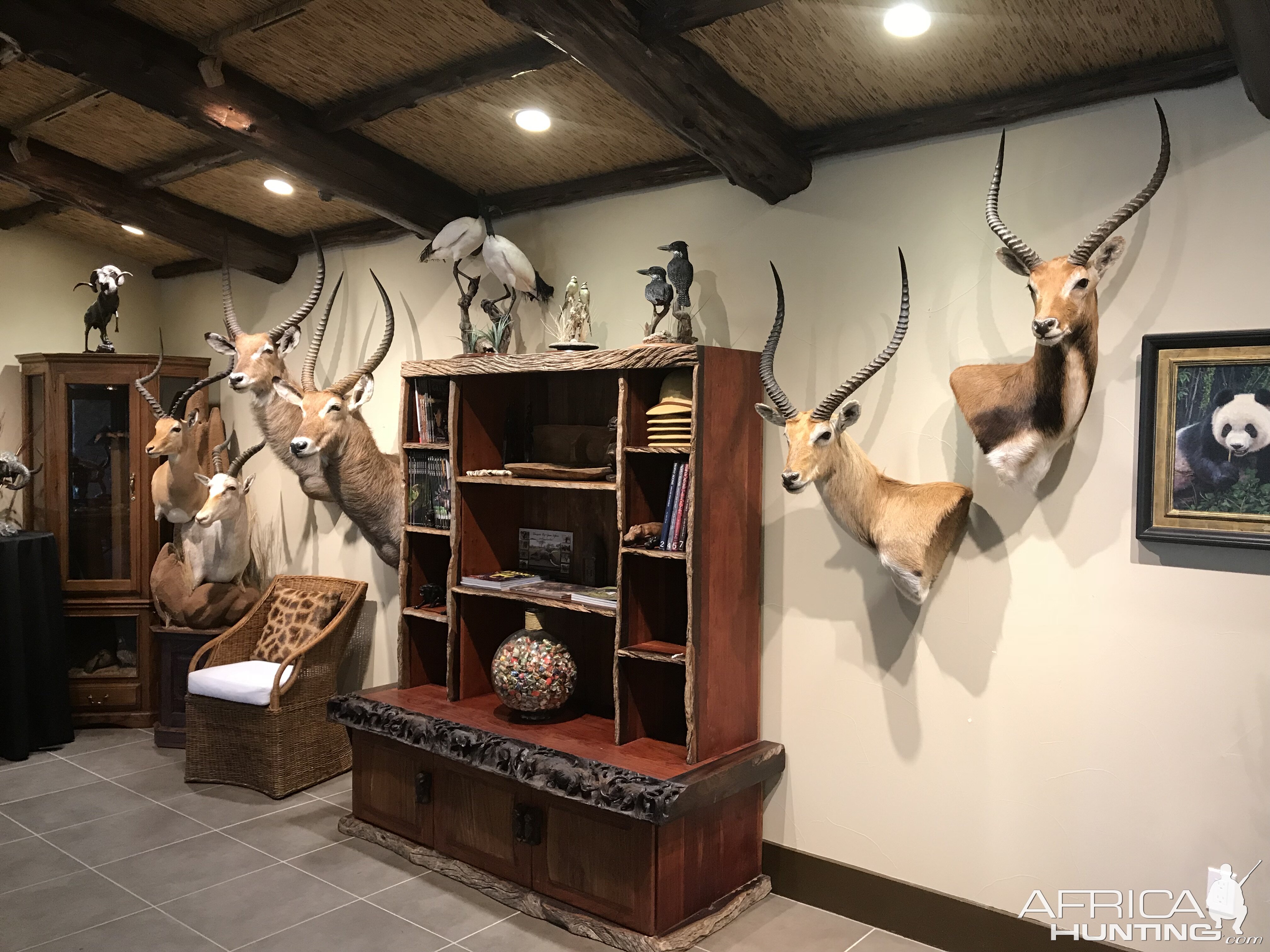 Warren Wildlife Gallery