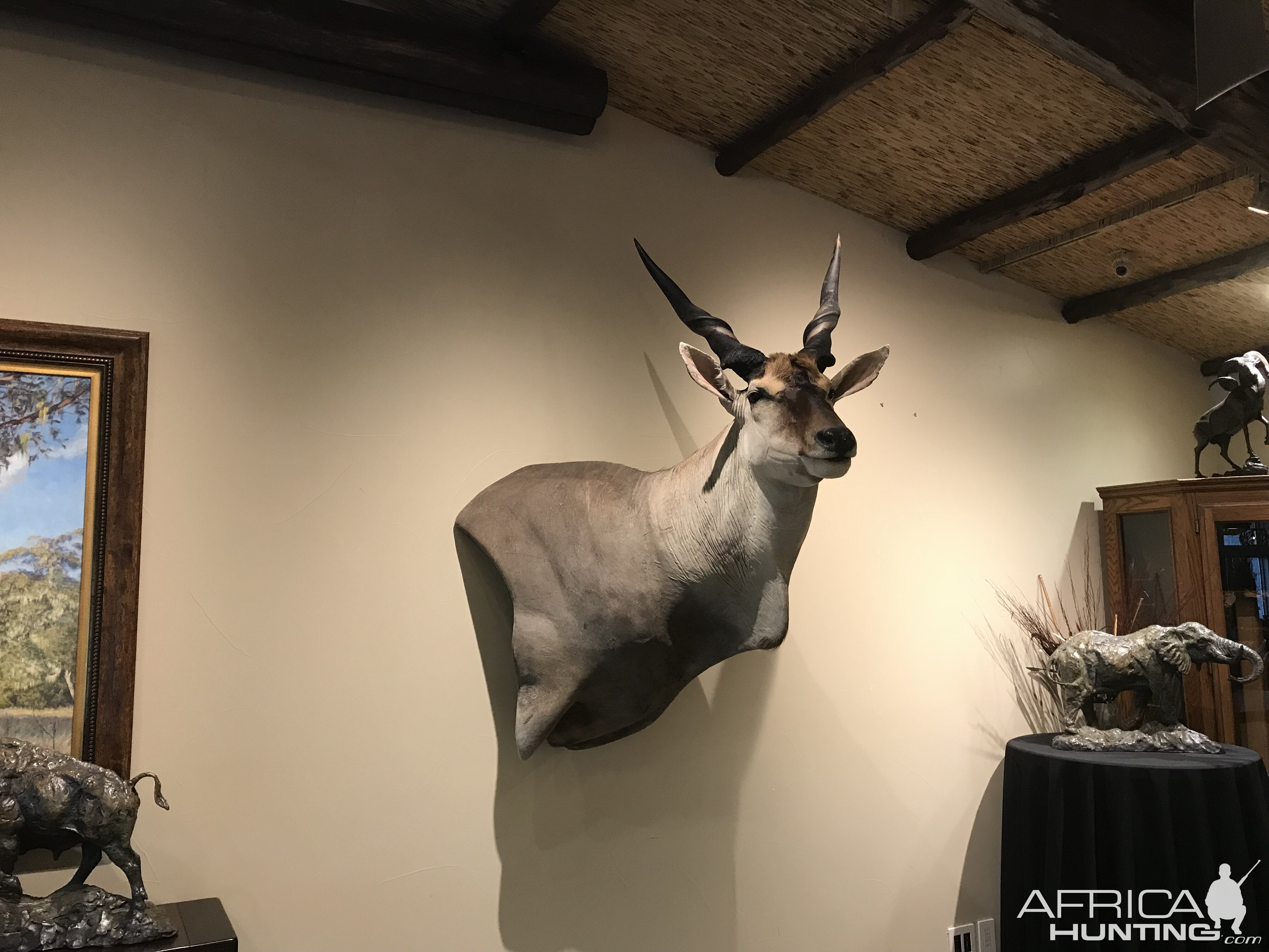 Warren Wildlife Gallery