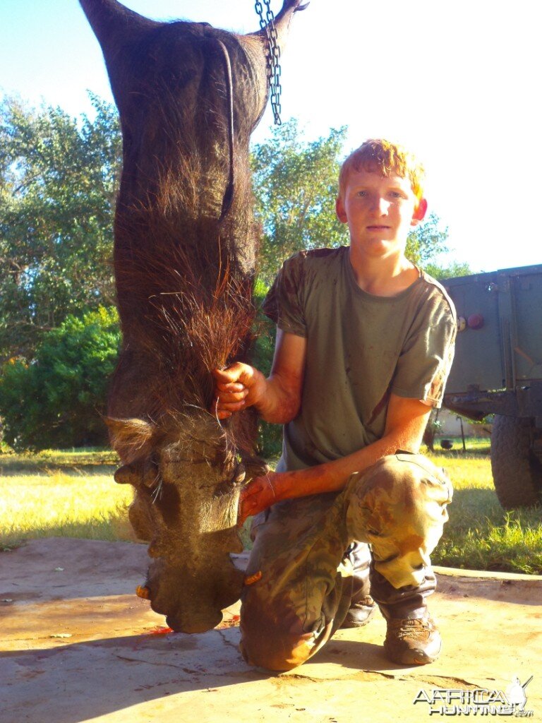 Warthog 75 kg, shot at King's Kloof.