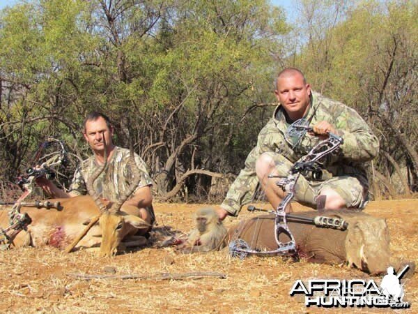 Warthog and Impala