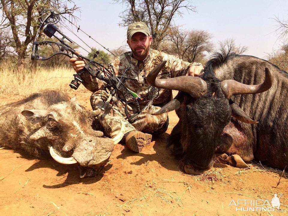 Warthog and Widebeest double