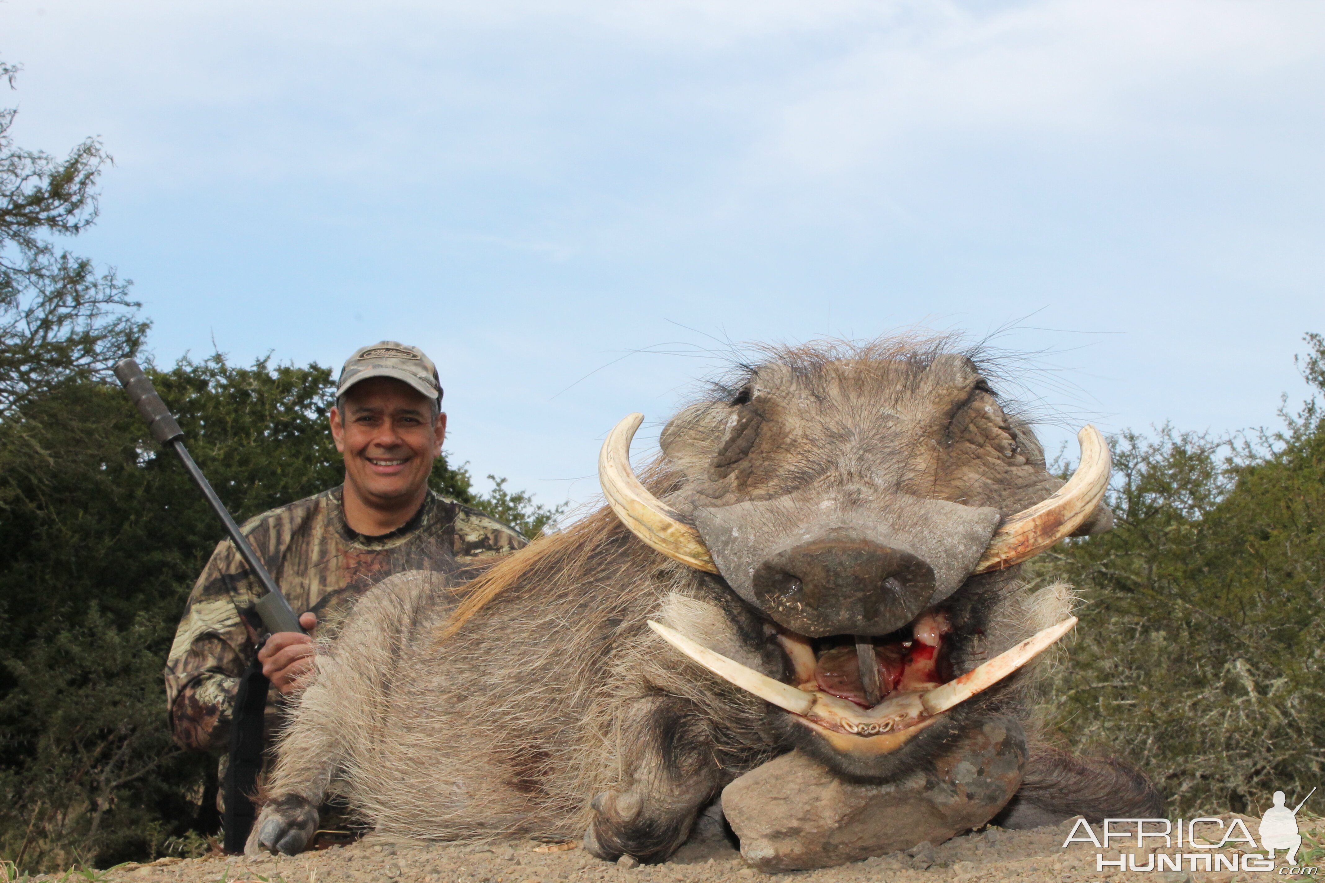 Warthog at Huntershill Safaris