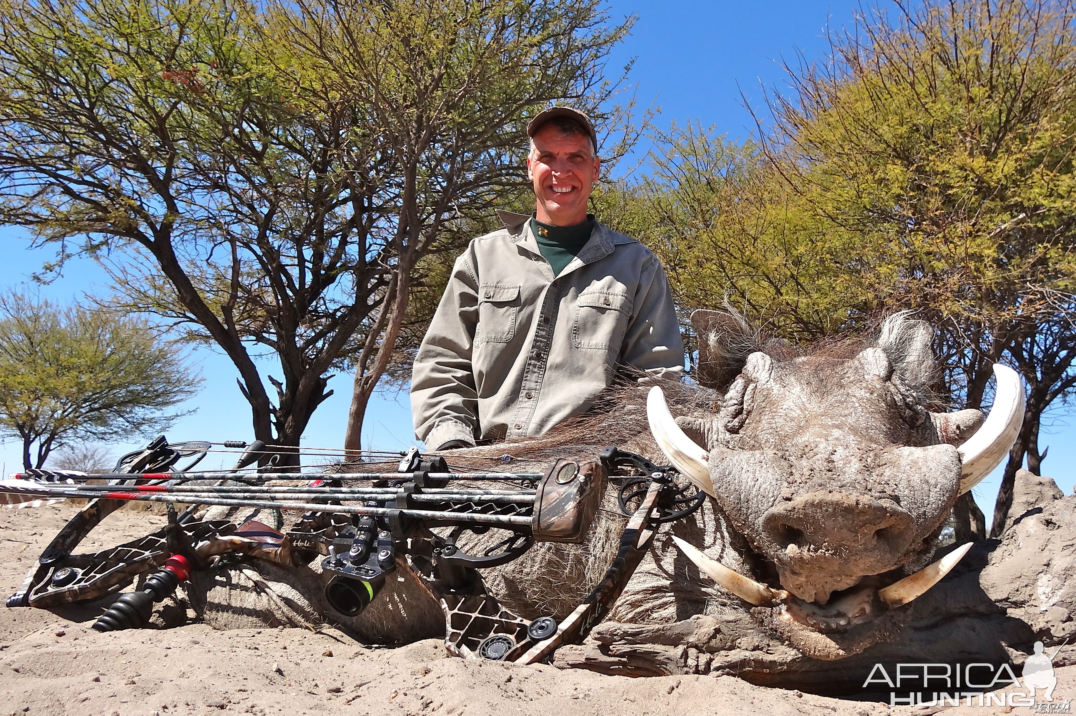 Warthog Botswana 2013