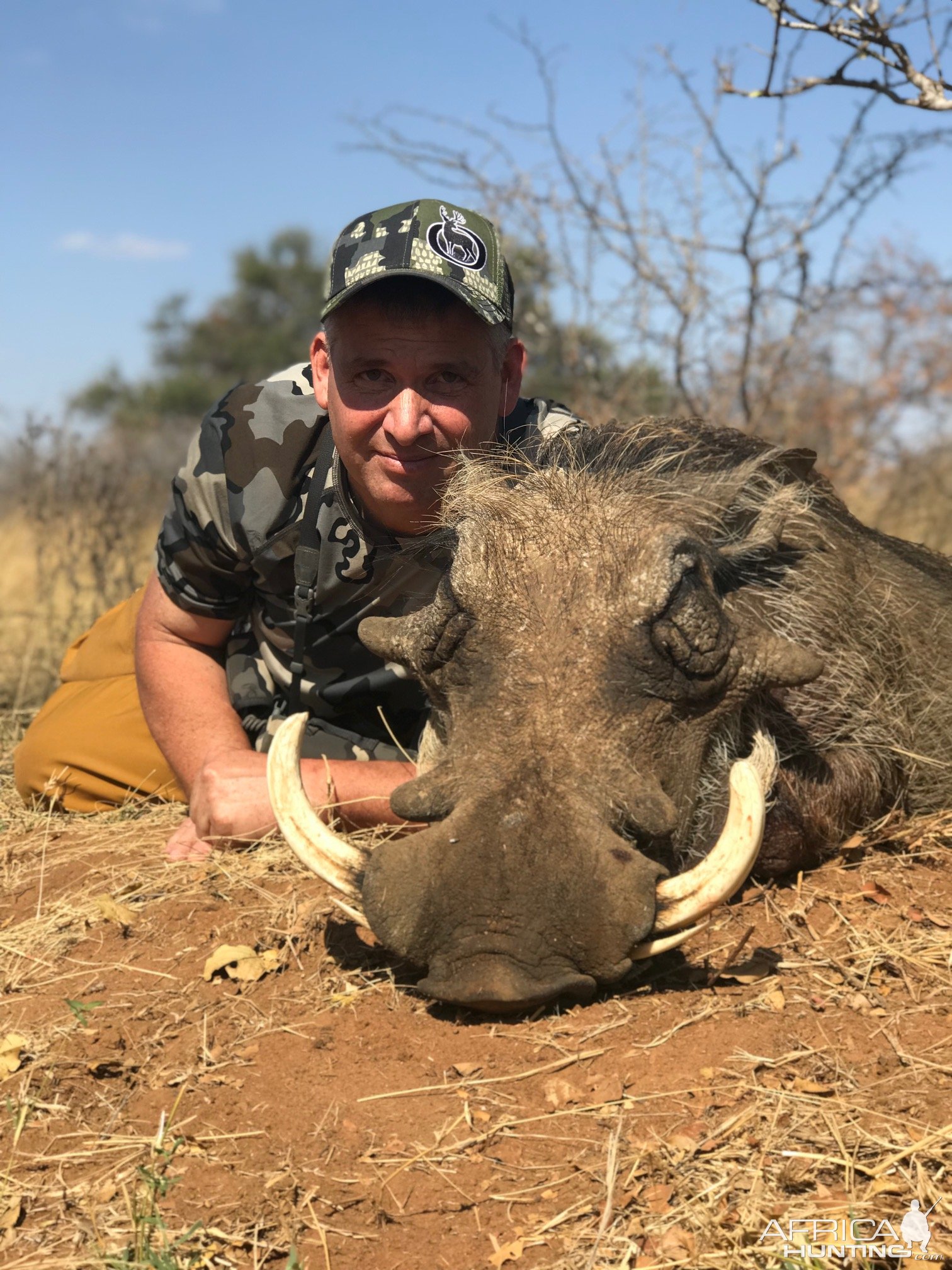 Warthog Bow Hunt South Africa