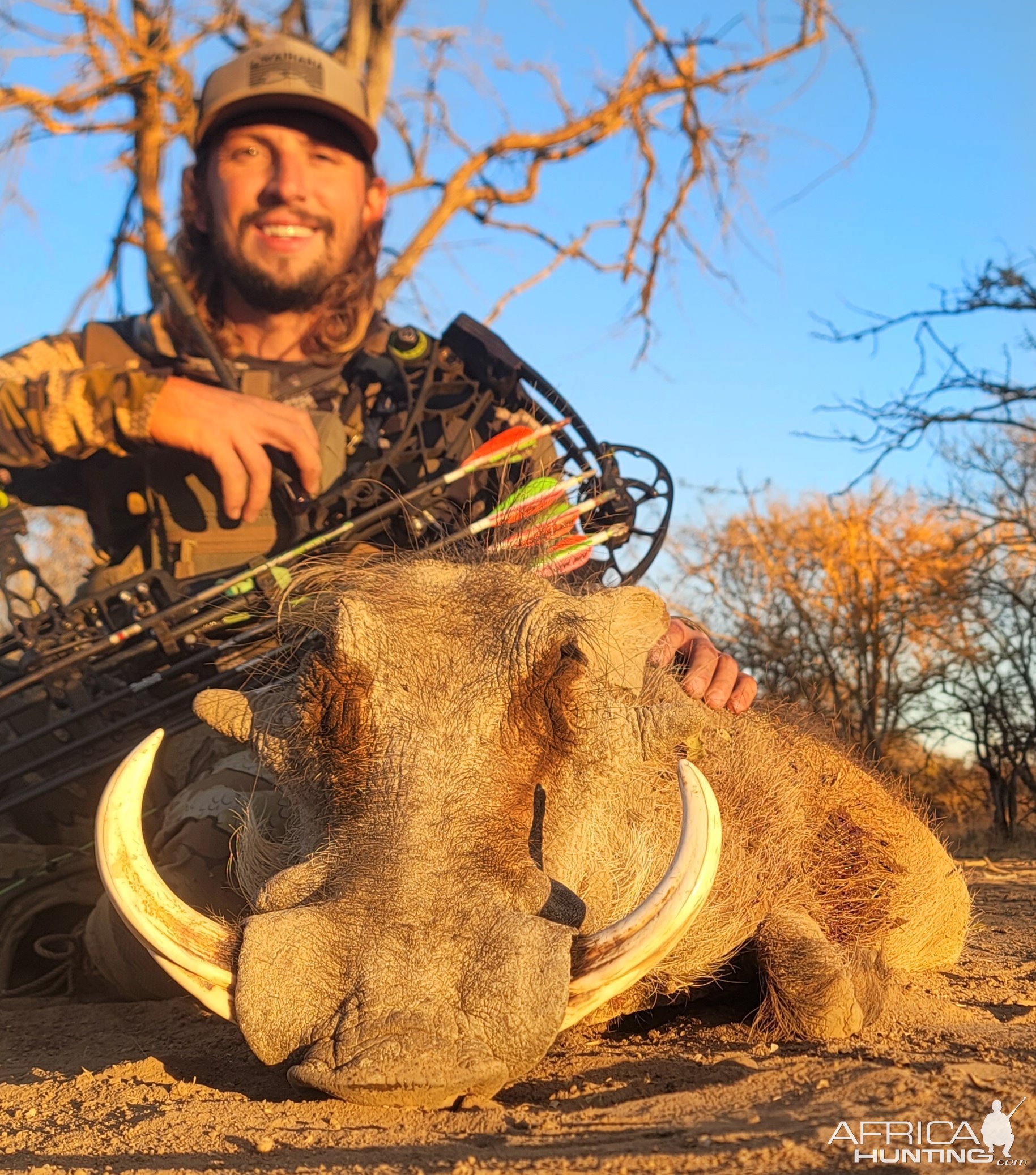 Warthog Bow Hunt South Africa